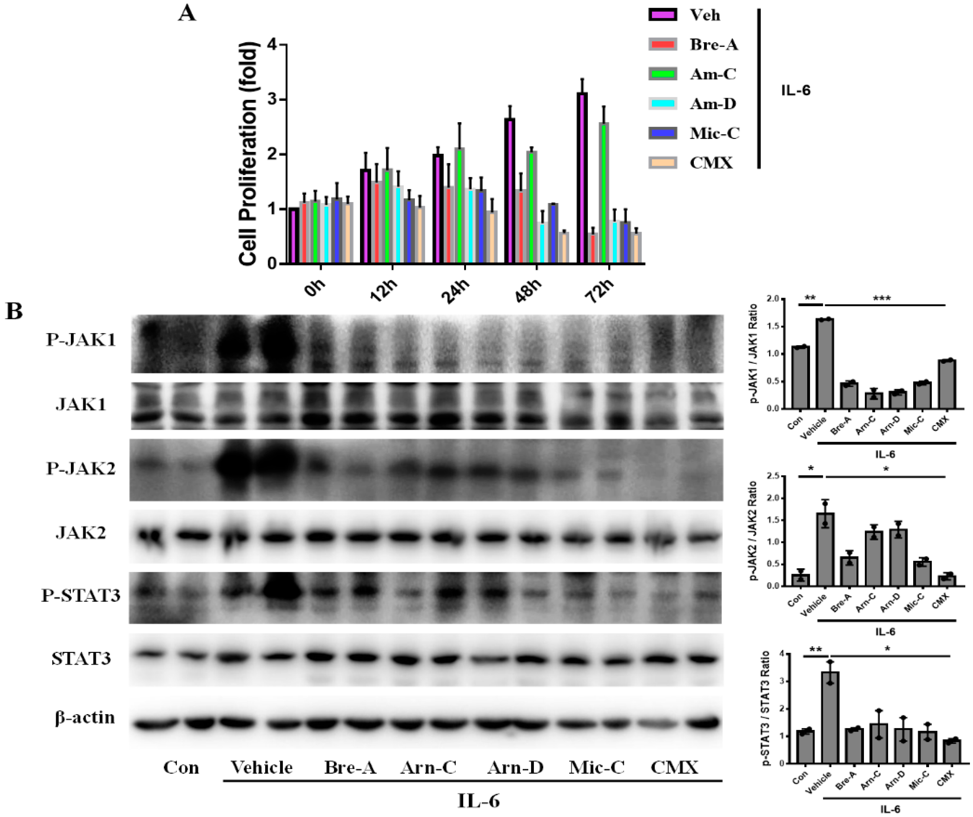 Molecules 28 01723 g005 Molecules 28 01723 g005