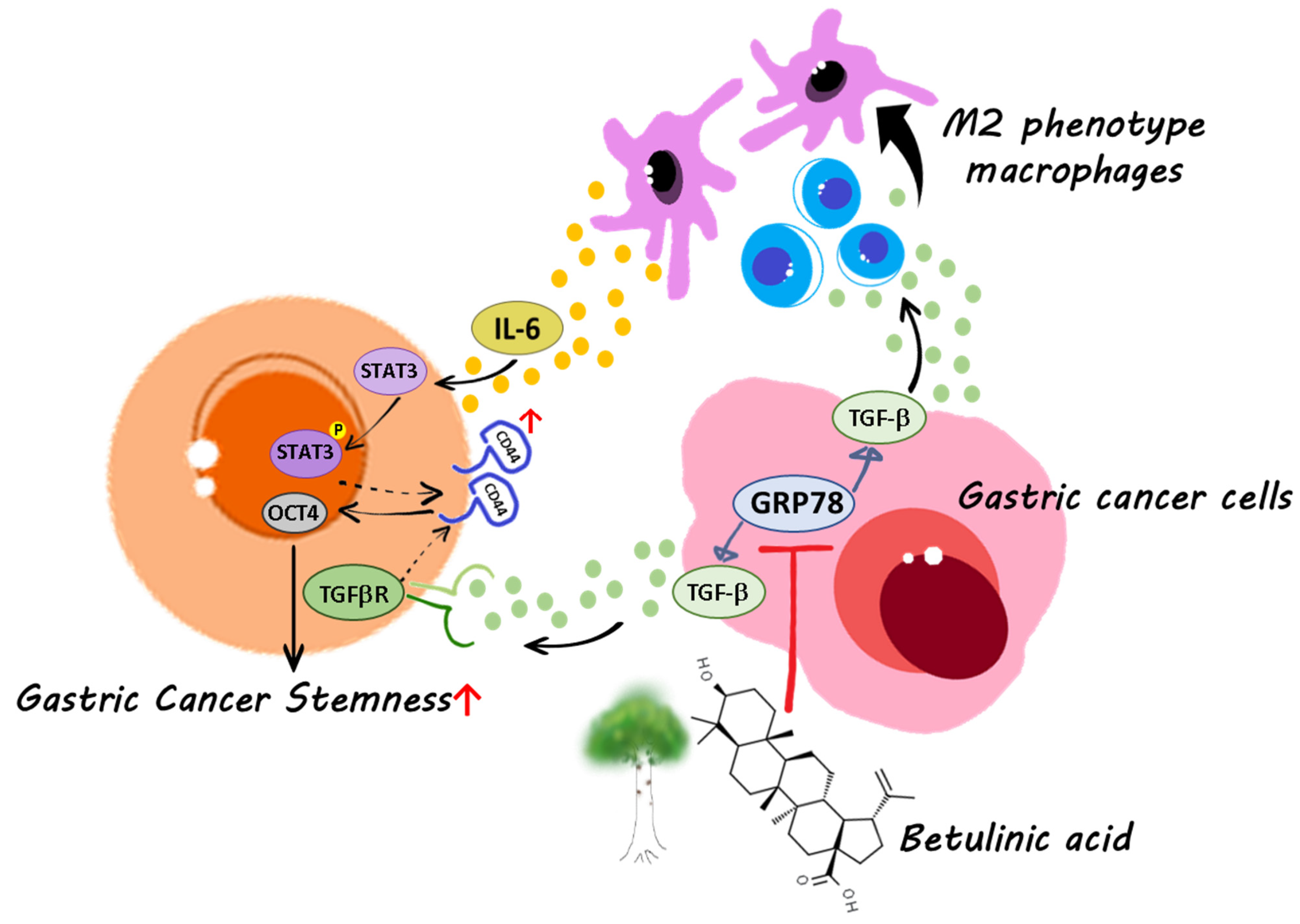 Molecules 28 01725 g006 Molecules 28 01725 g006