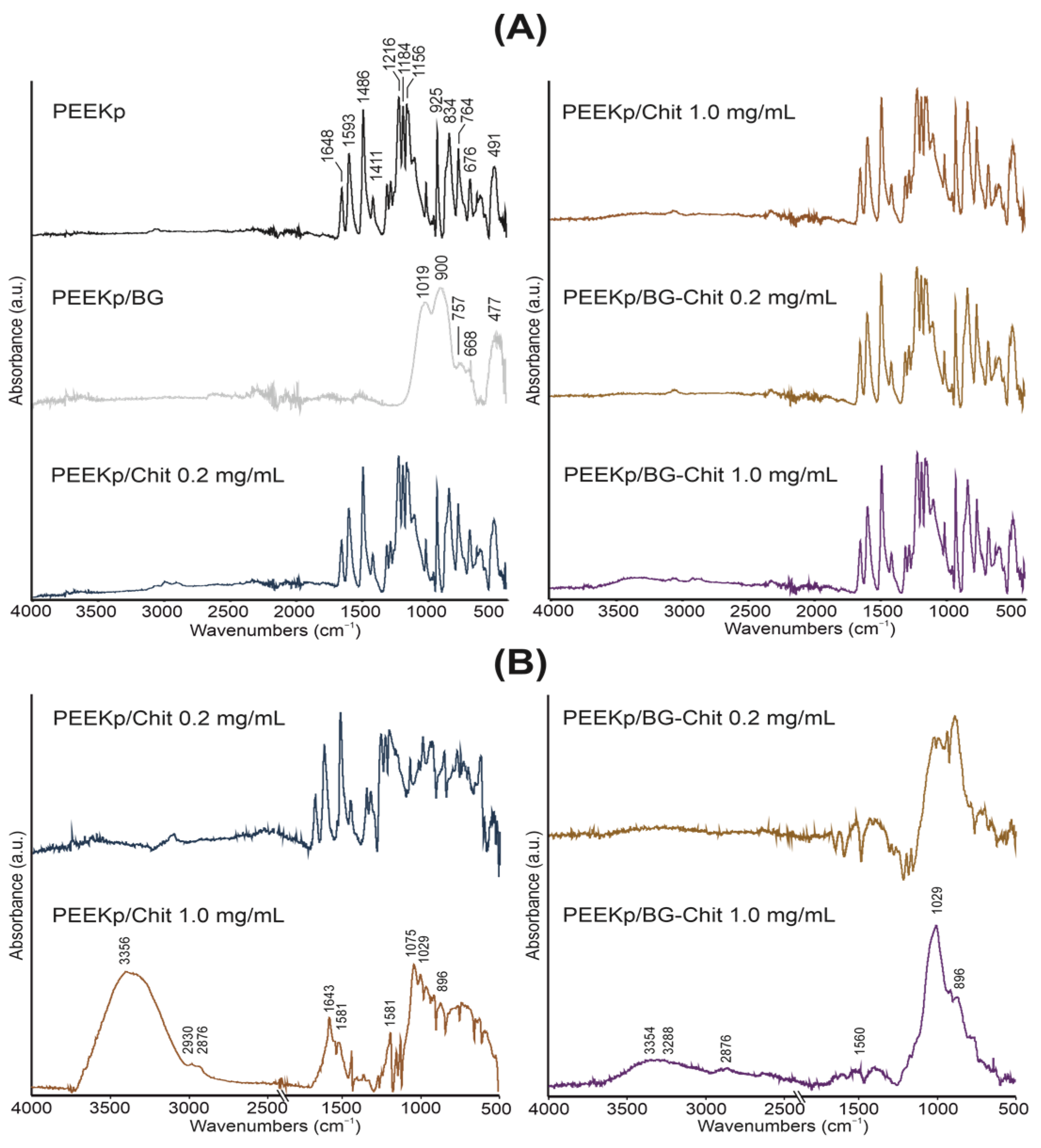 Molecules 28 01729 g001