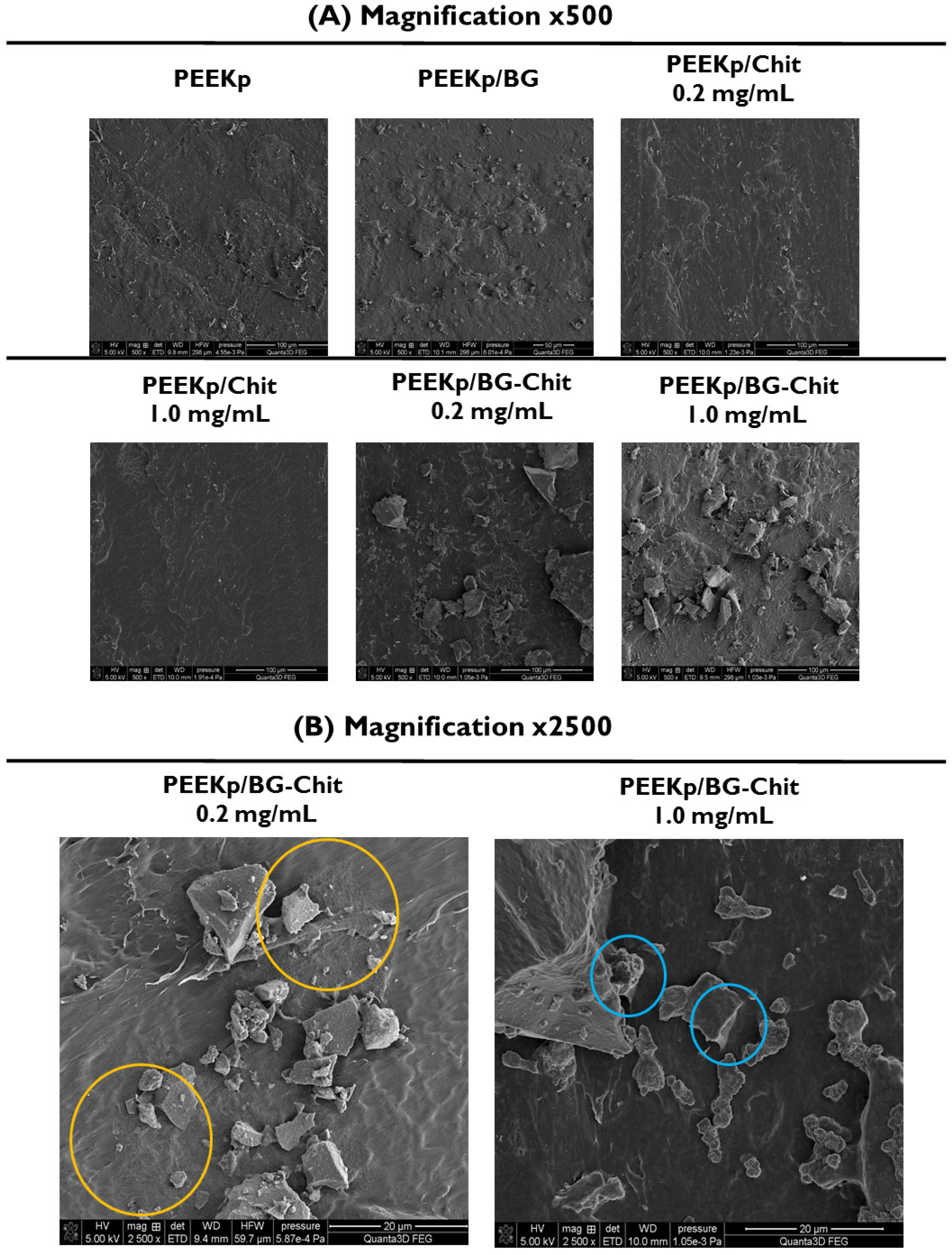 Molecules 28 01729 g002