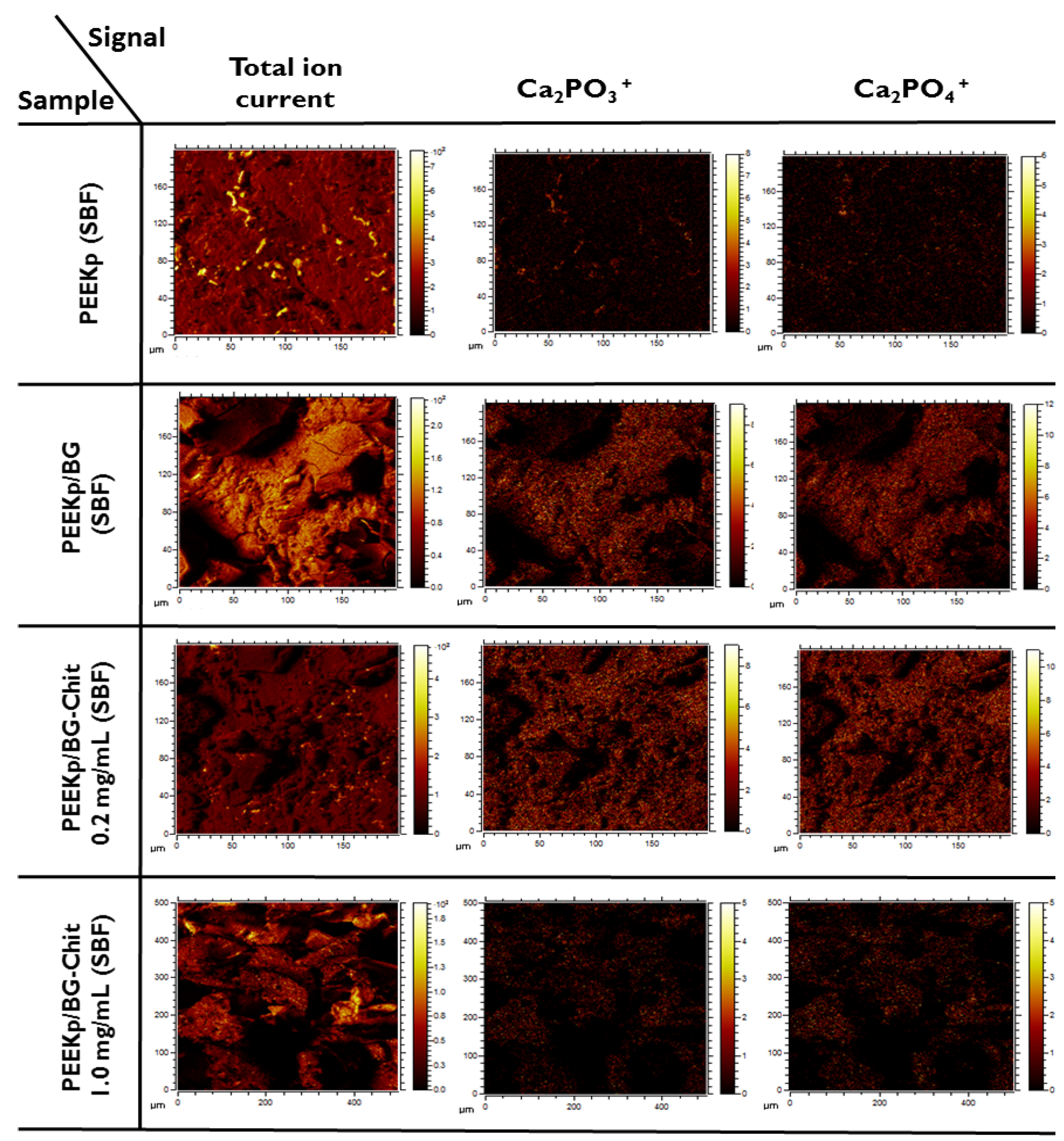 Molecules 28 01729 g010