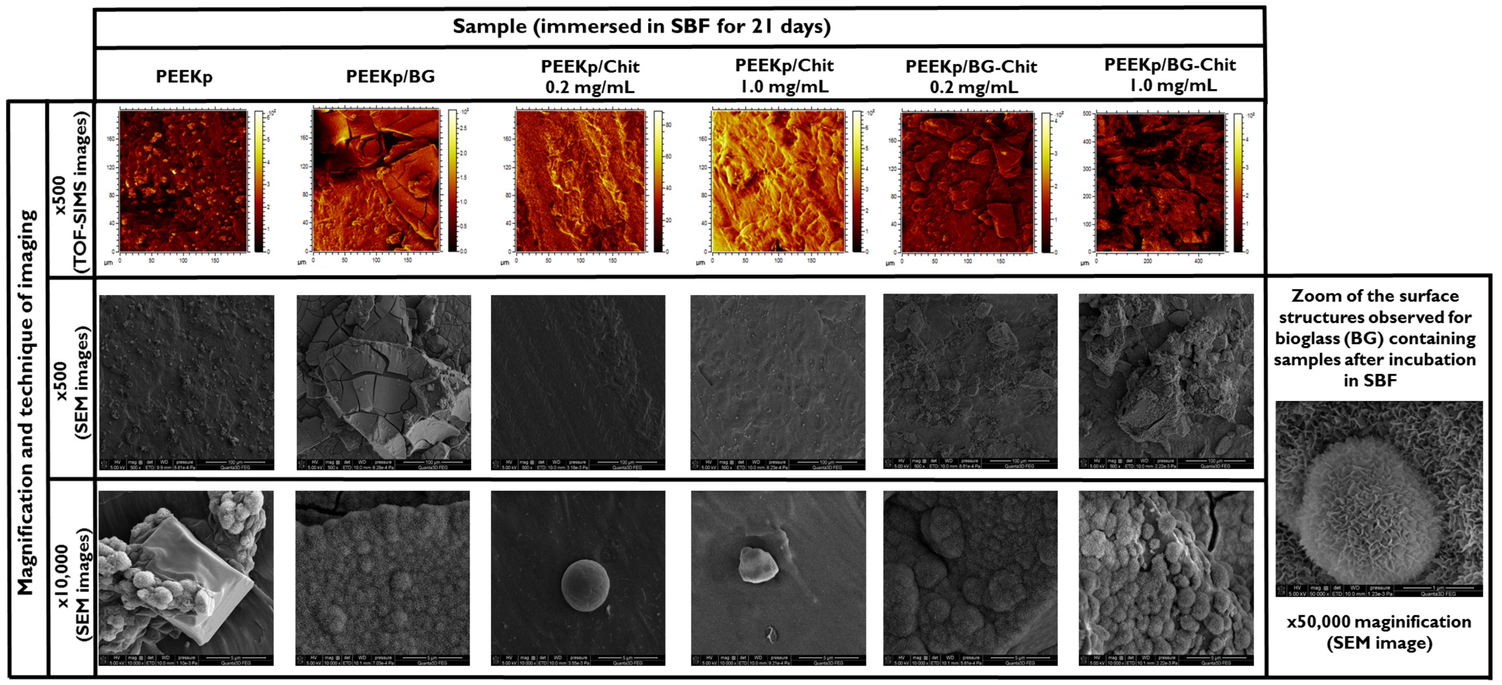Molecules 28 01729 g011