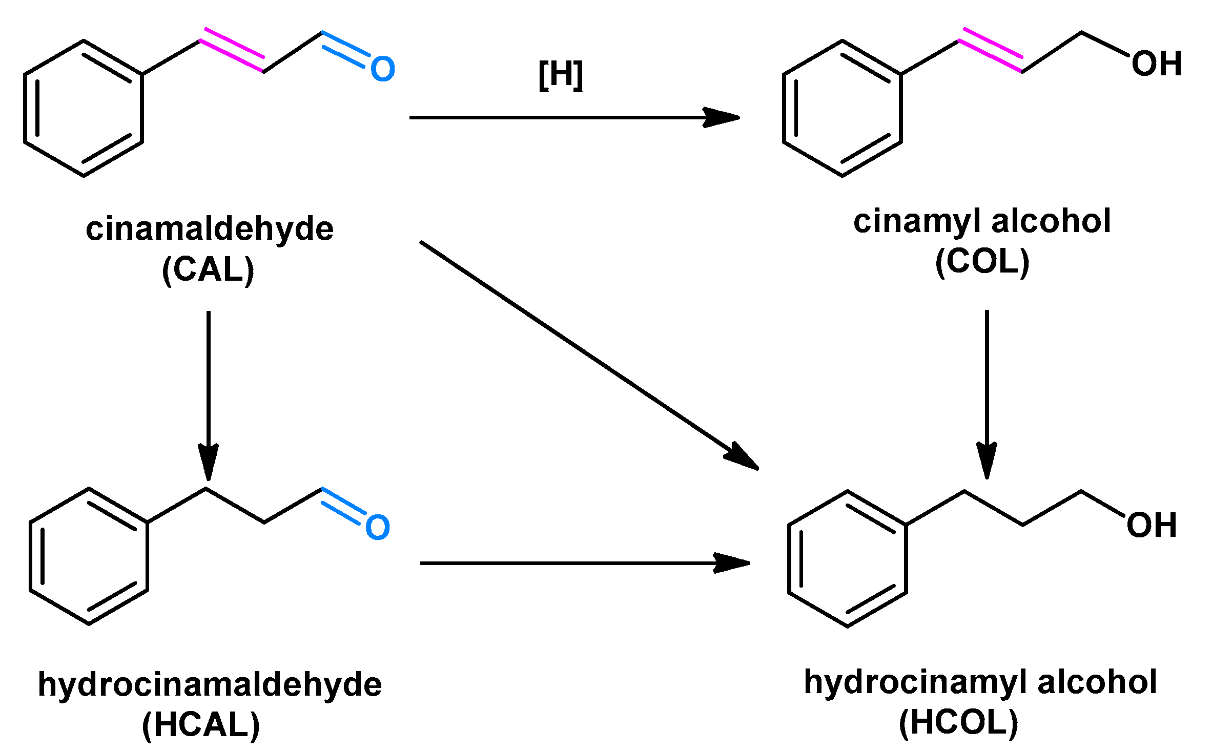 Molecules 28 01730 sch001