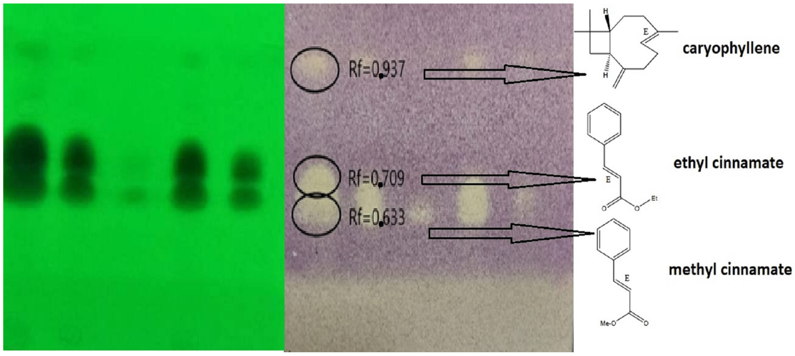 Molecules 28 01741 g001 Molecules 28 01741 g001