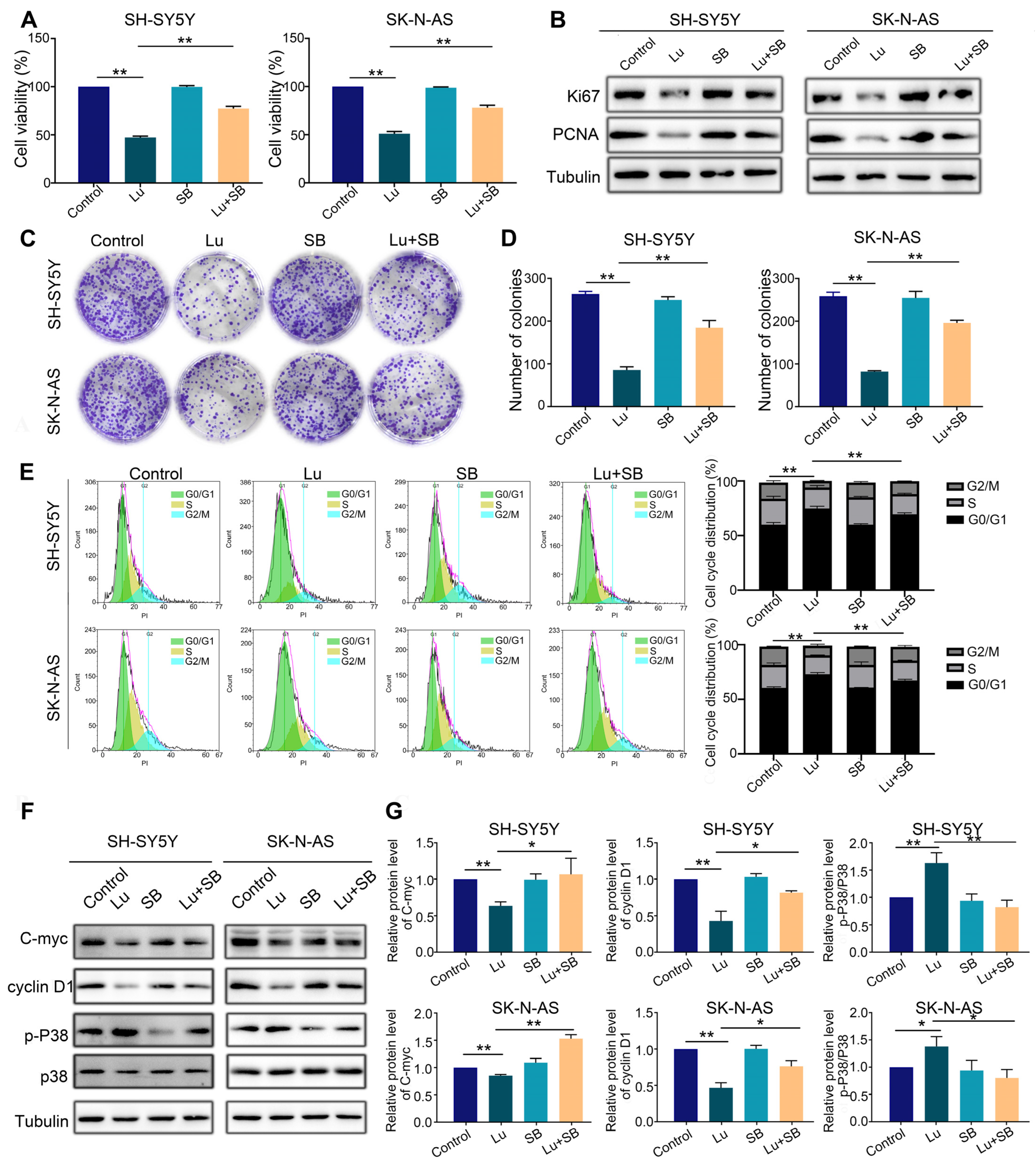Molecules 28 01748 g007