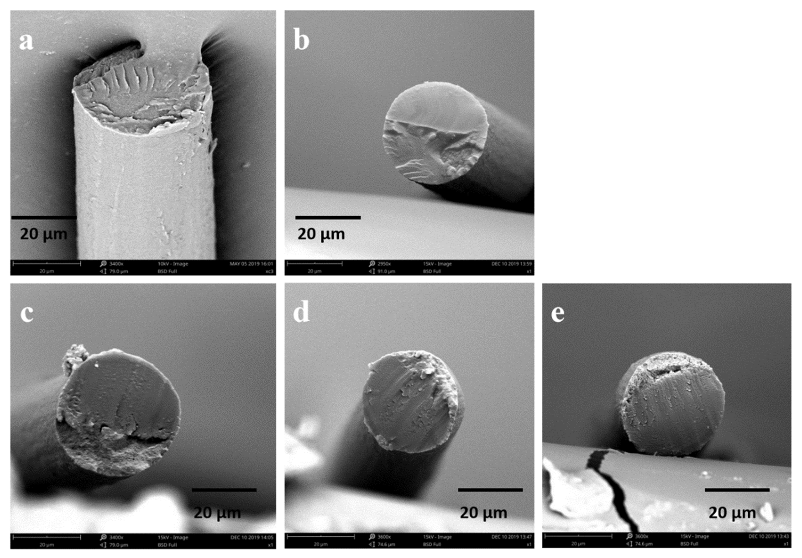 Molecules 28 01750 g007