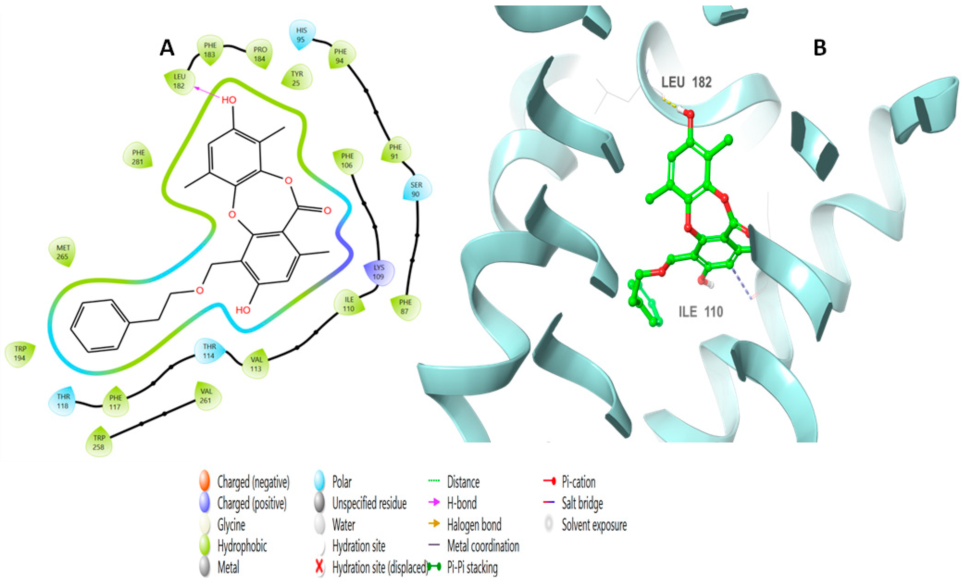 Molecules 28 01761 g005 Molecules 28 01761 g005