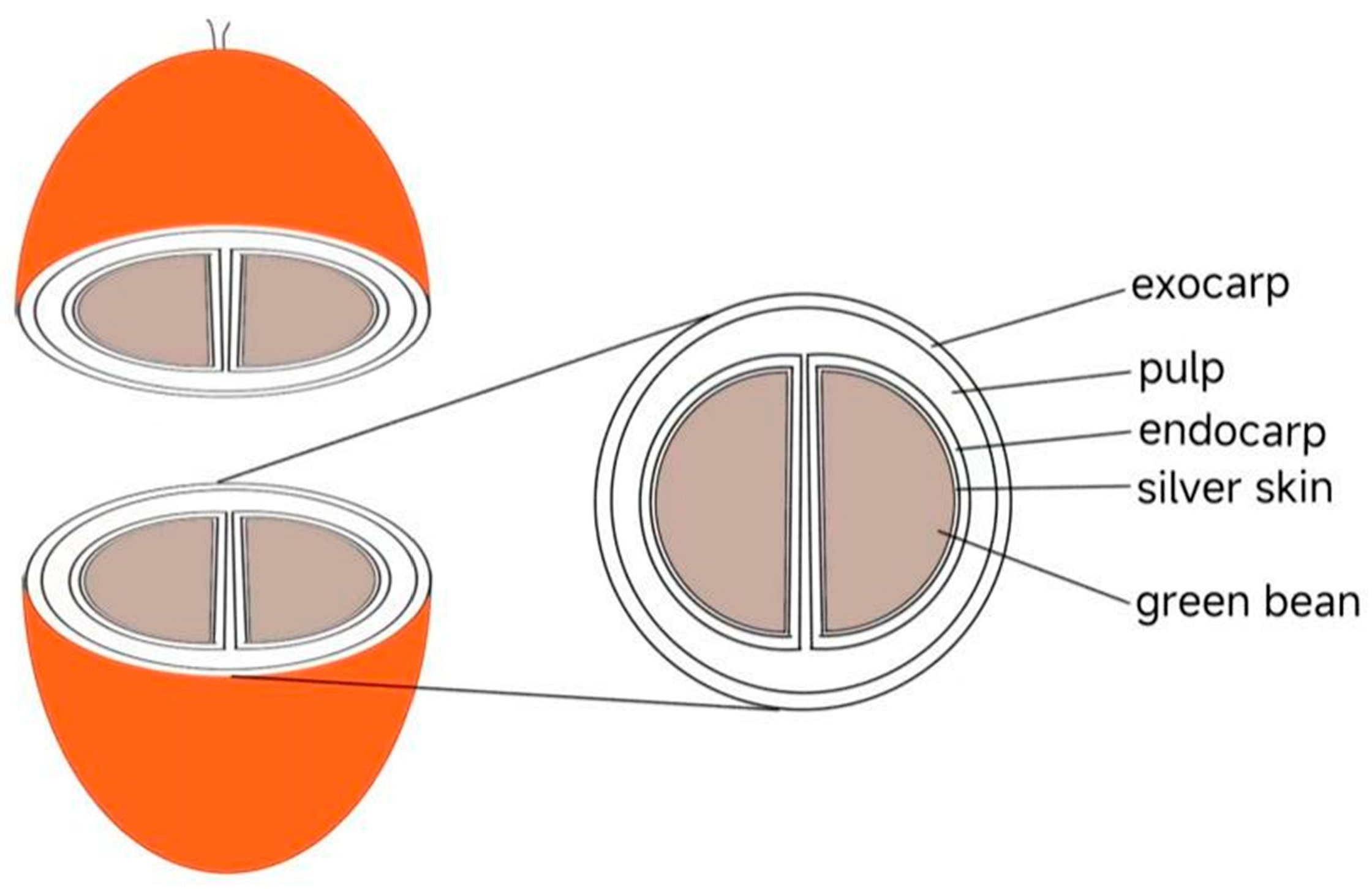 Molecules 28 01770 g001