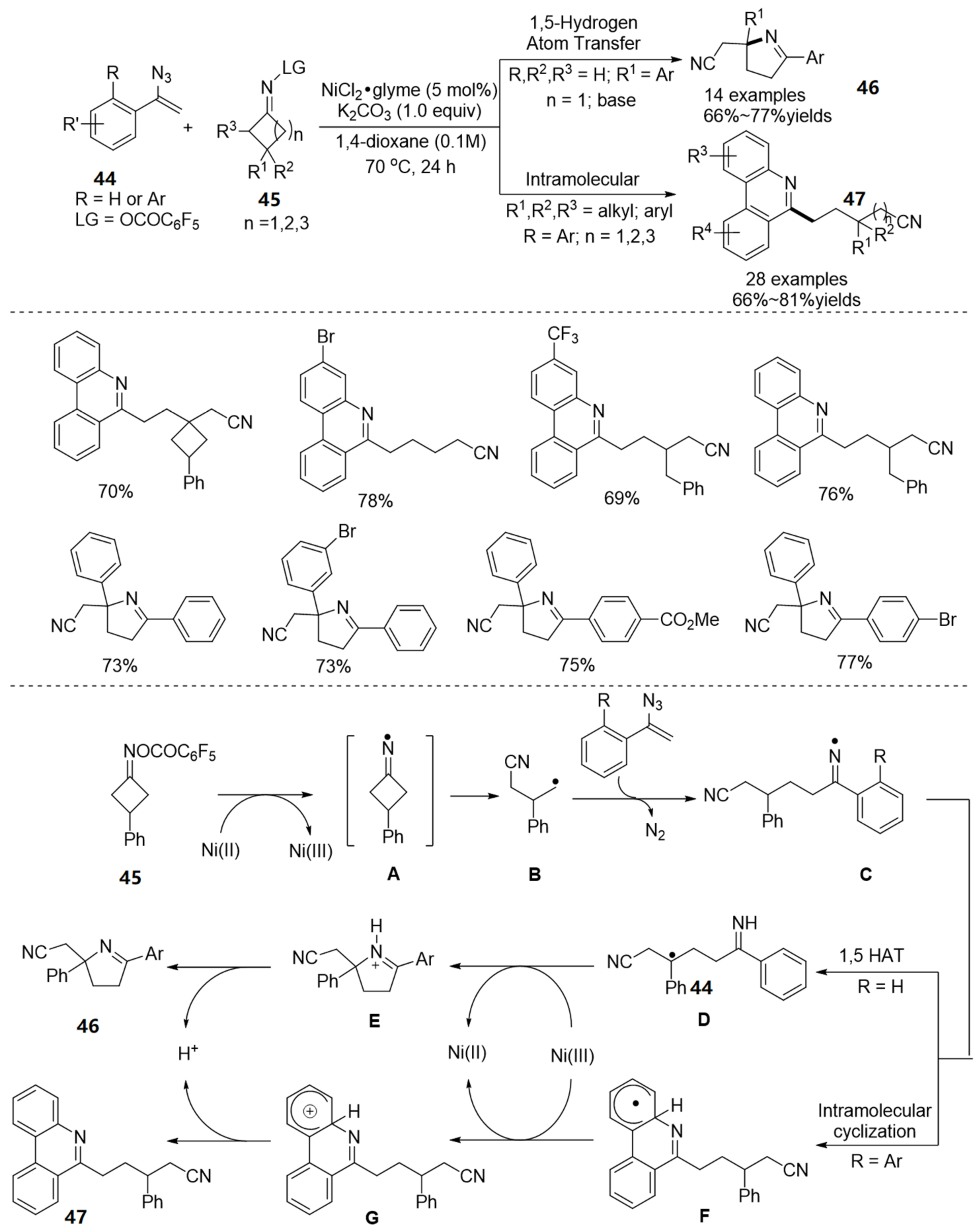 Molecules 28 01775 g016