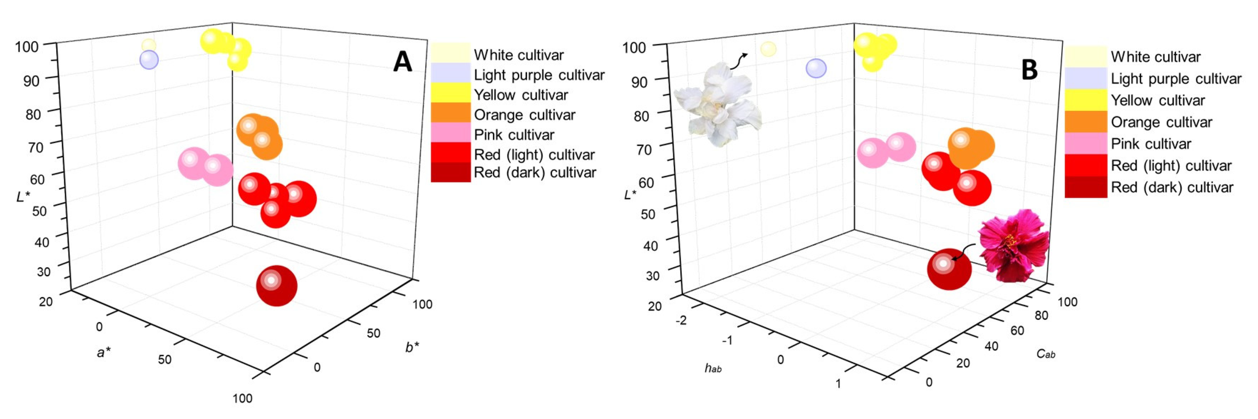 Molecules 28 01779 g004