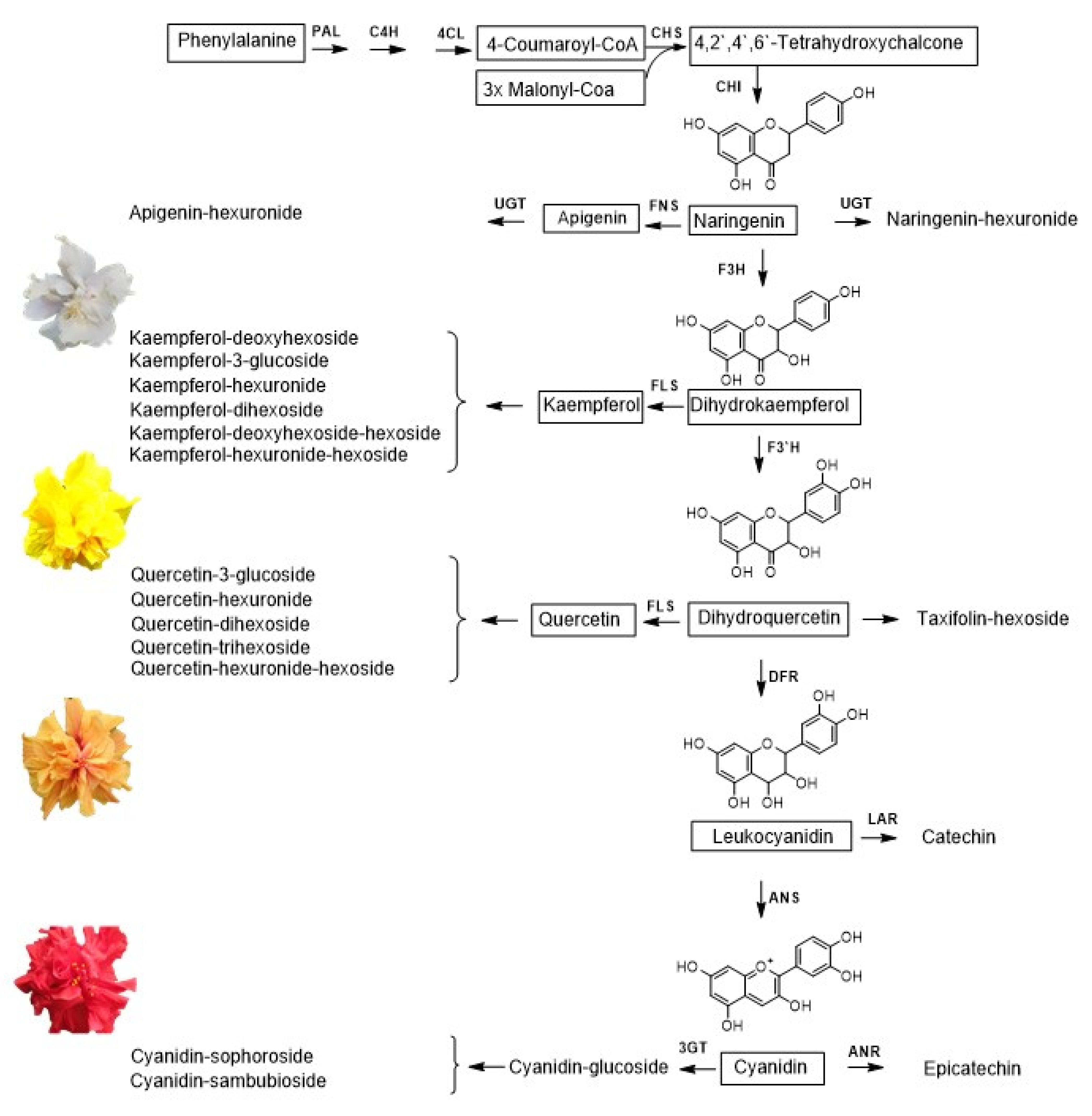 Molecules 28 01779 g006