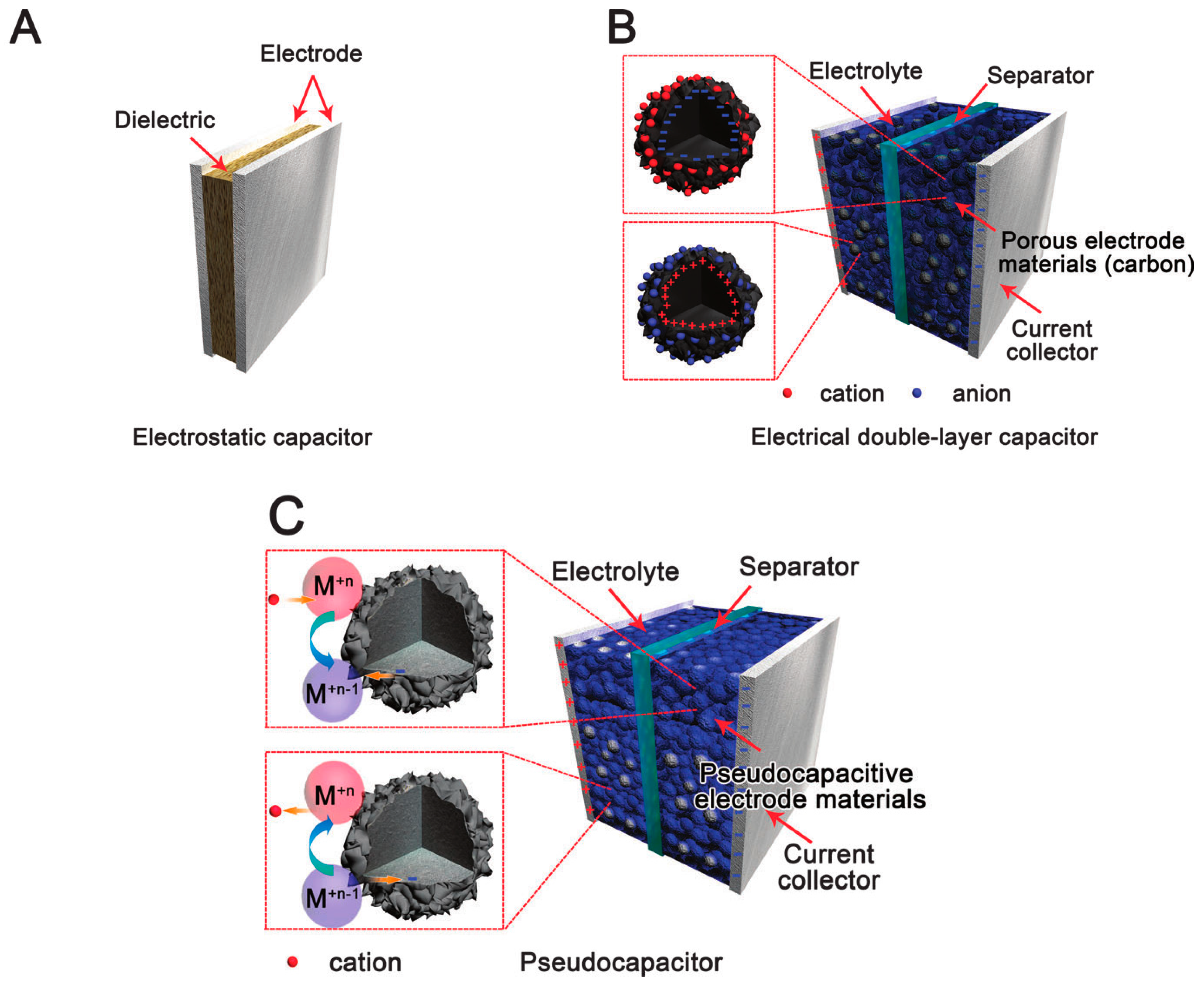 Molecules 28 01781 g005