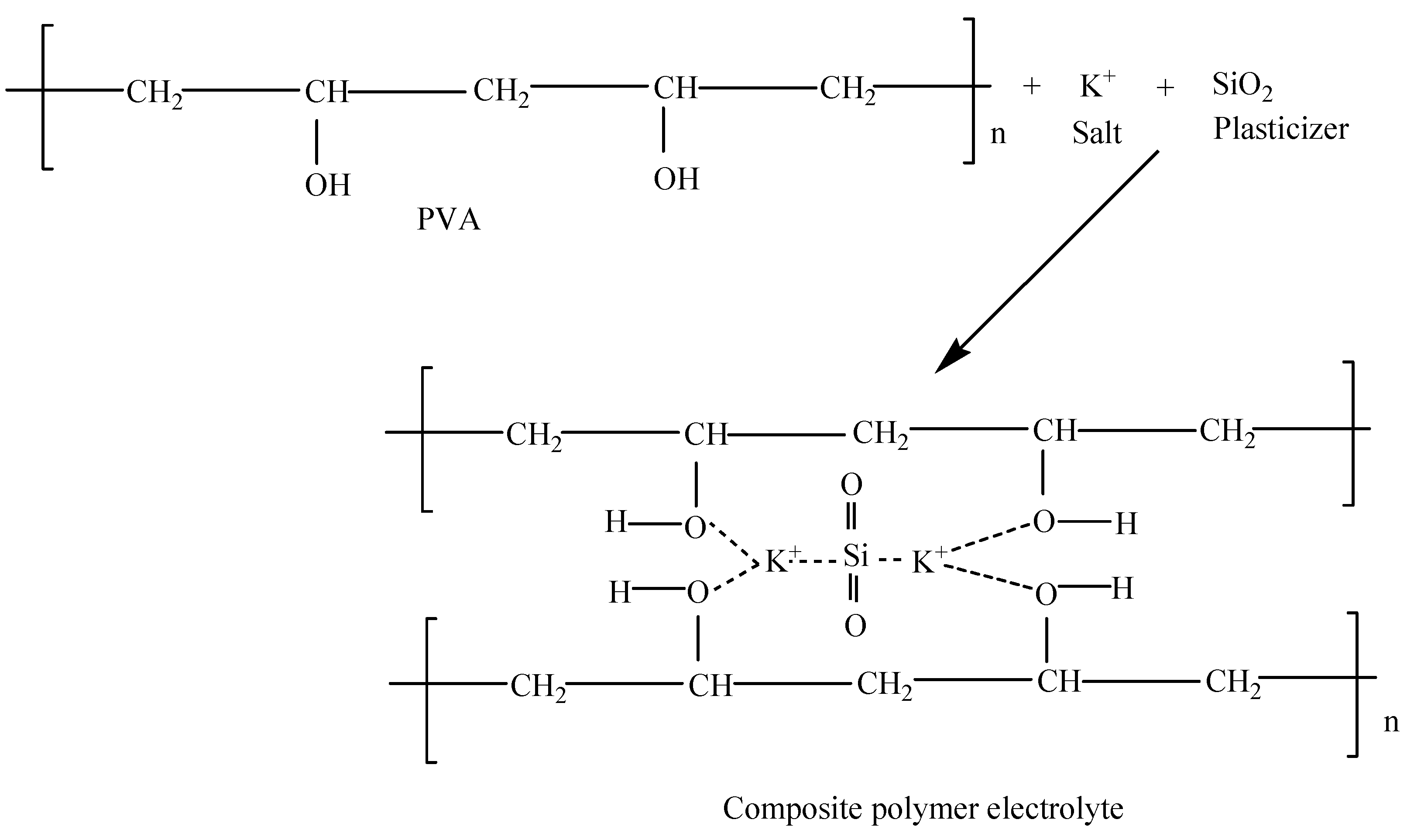 Molecules 28 01781 g012