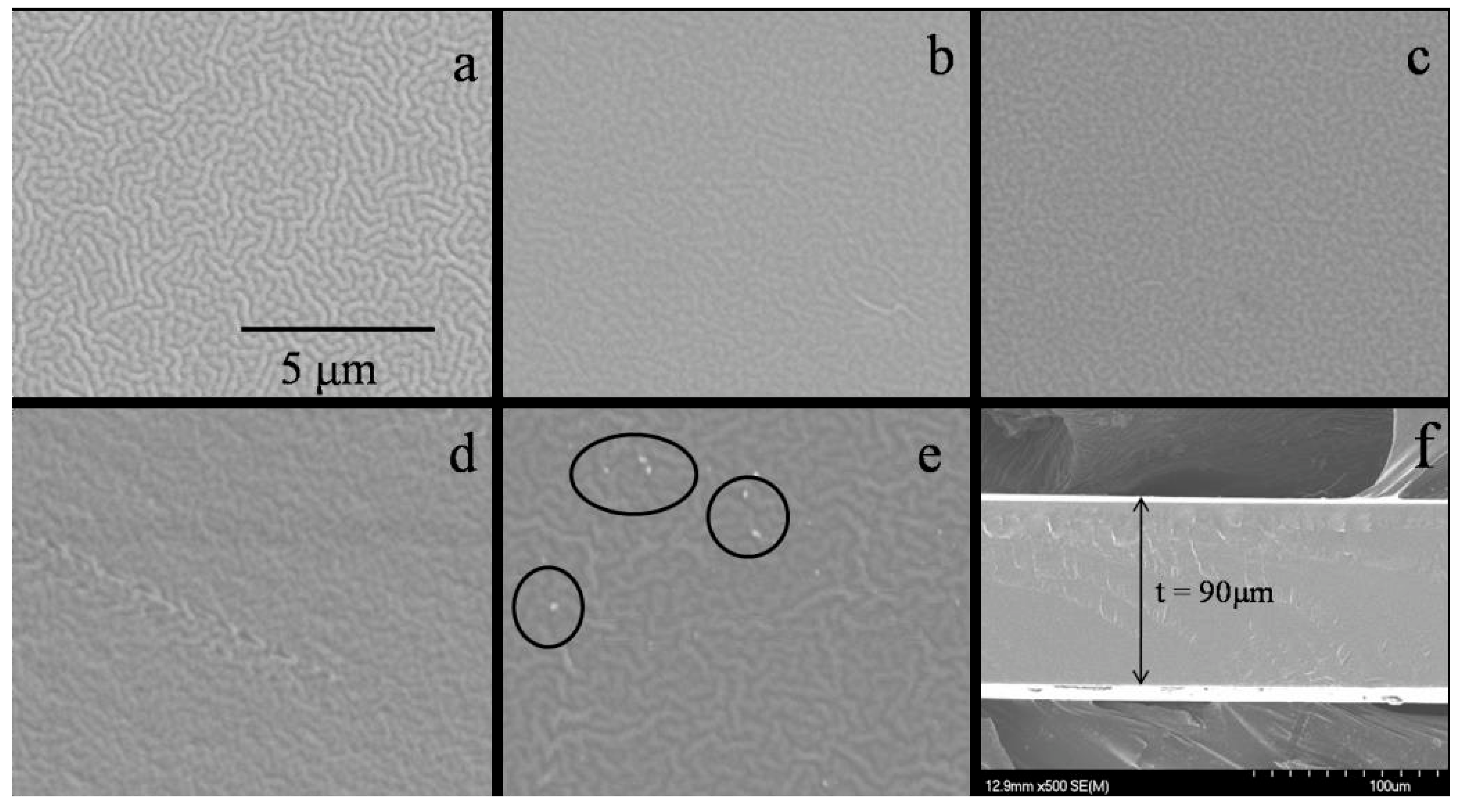 Molecules 28 01781 g031
