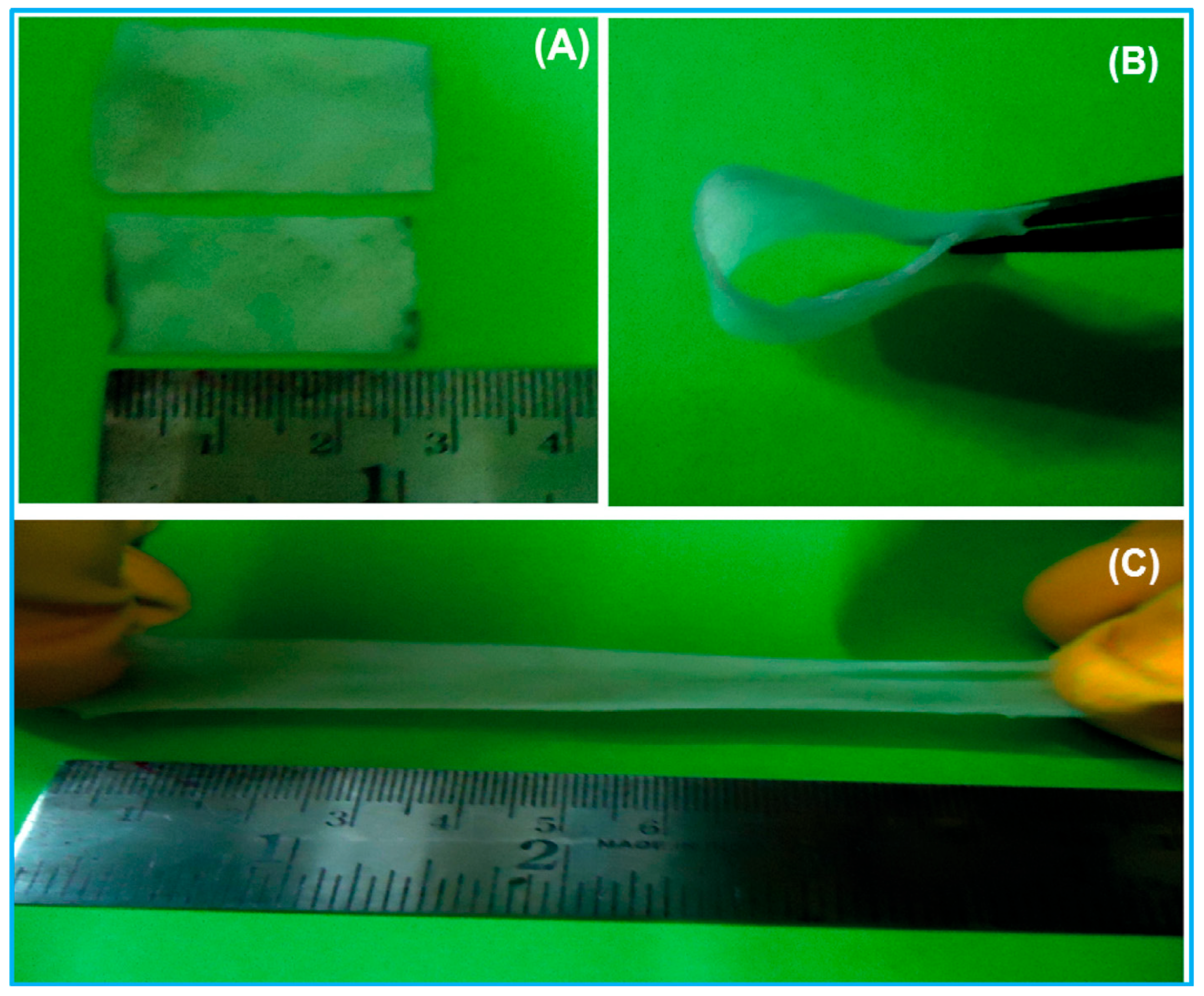 Molecules 28 01781 g033