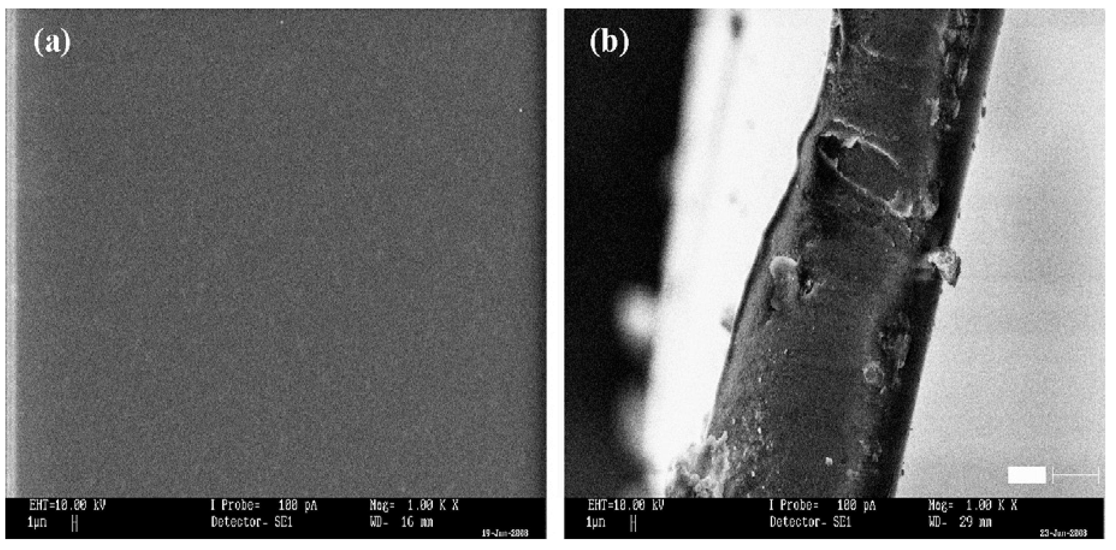 Molecules 28 01781 g036