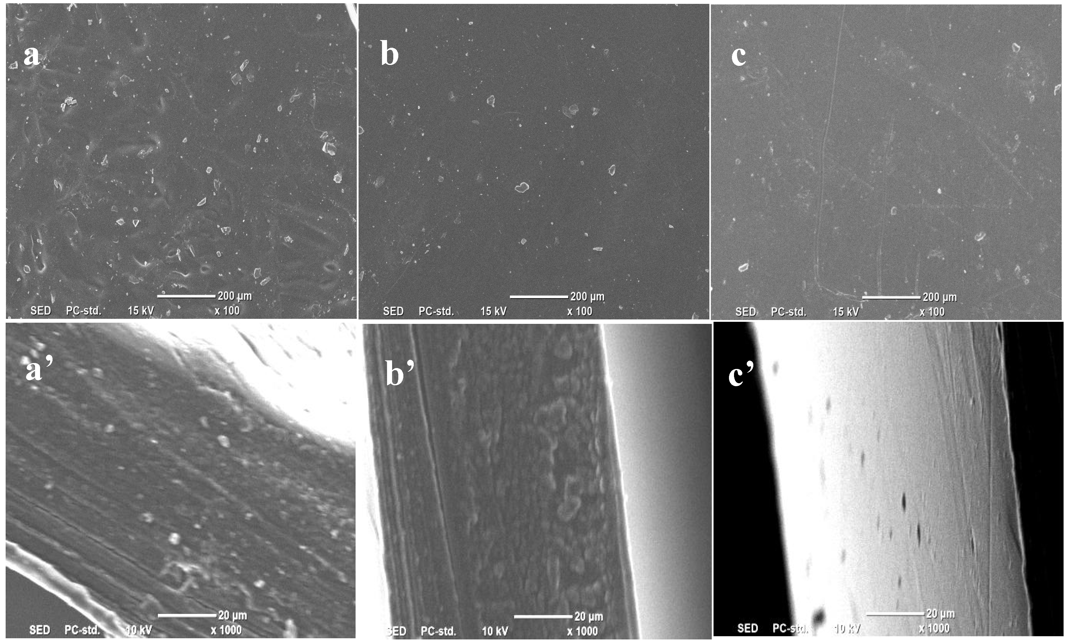 Molecules 28 01783 g004 Molecules 28 01783 g004