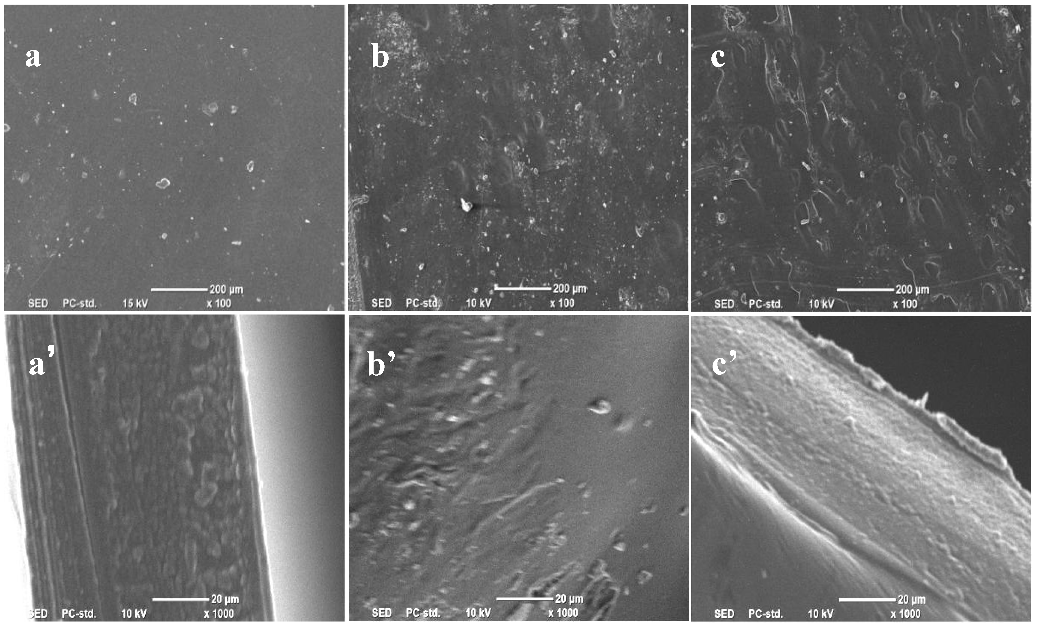 Molecules 28 01783 g005 Molecules 28 01783 g005