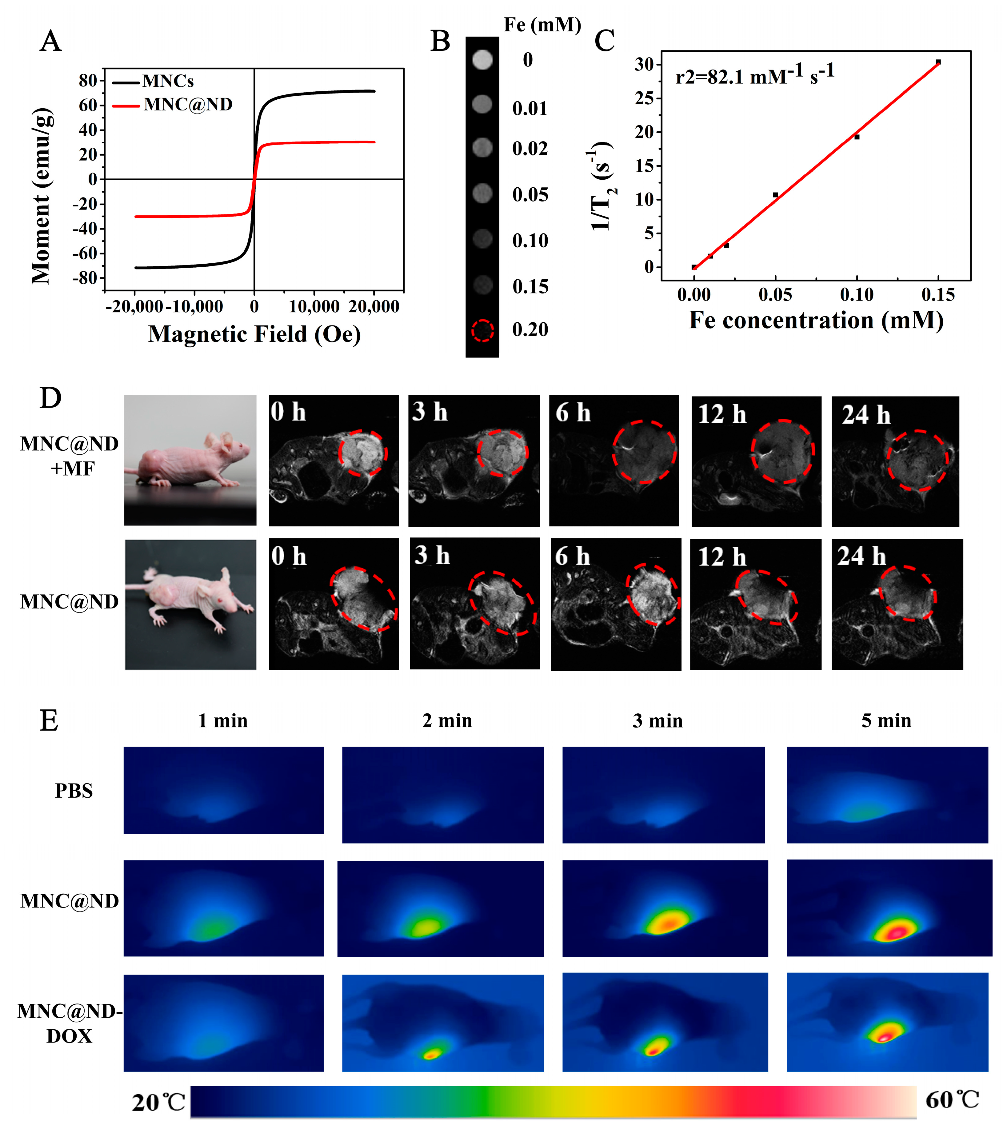 Molecules 28 01784 g004 Molecules 28 01784 g004
