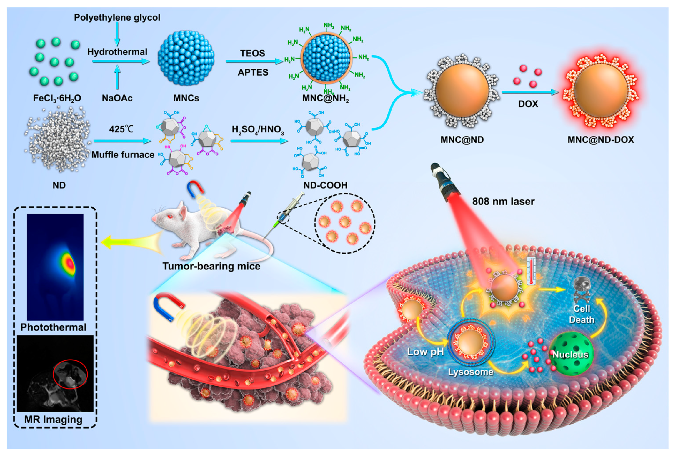 Molecules 28 01784 sch001 Molecules 28 01784 sch001