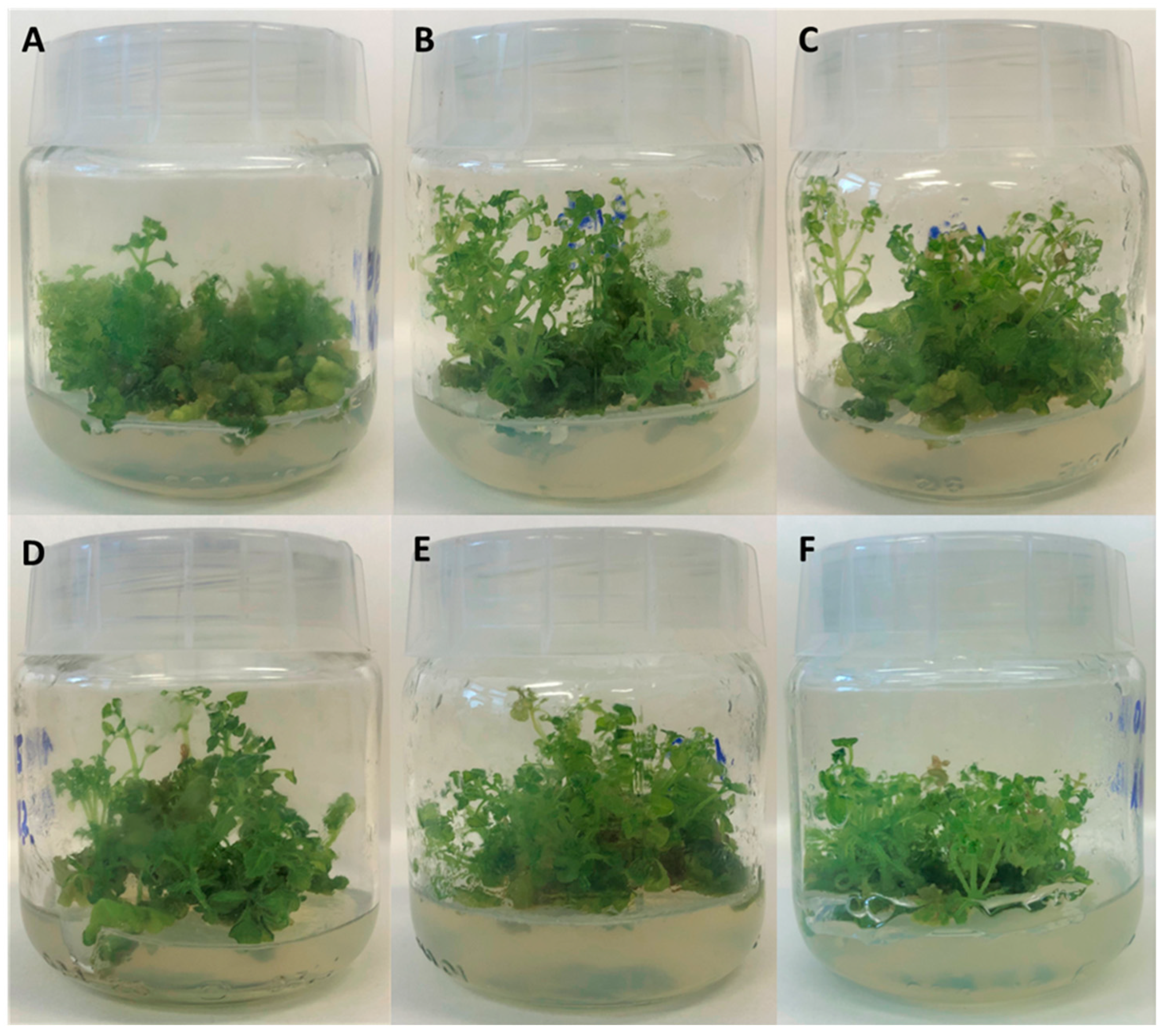 Molecules 28 01785 g001