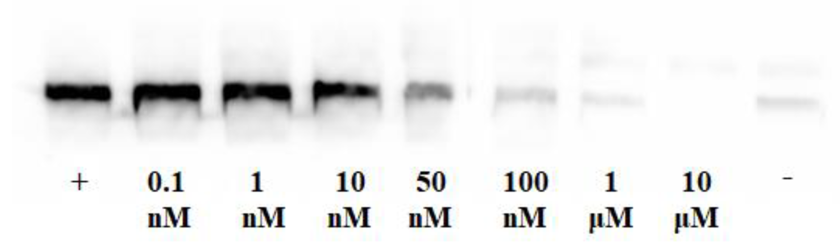 Molecules 28 01786 g003