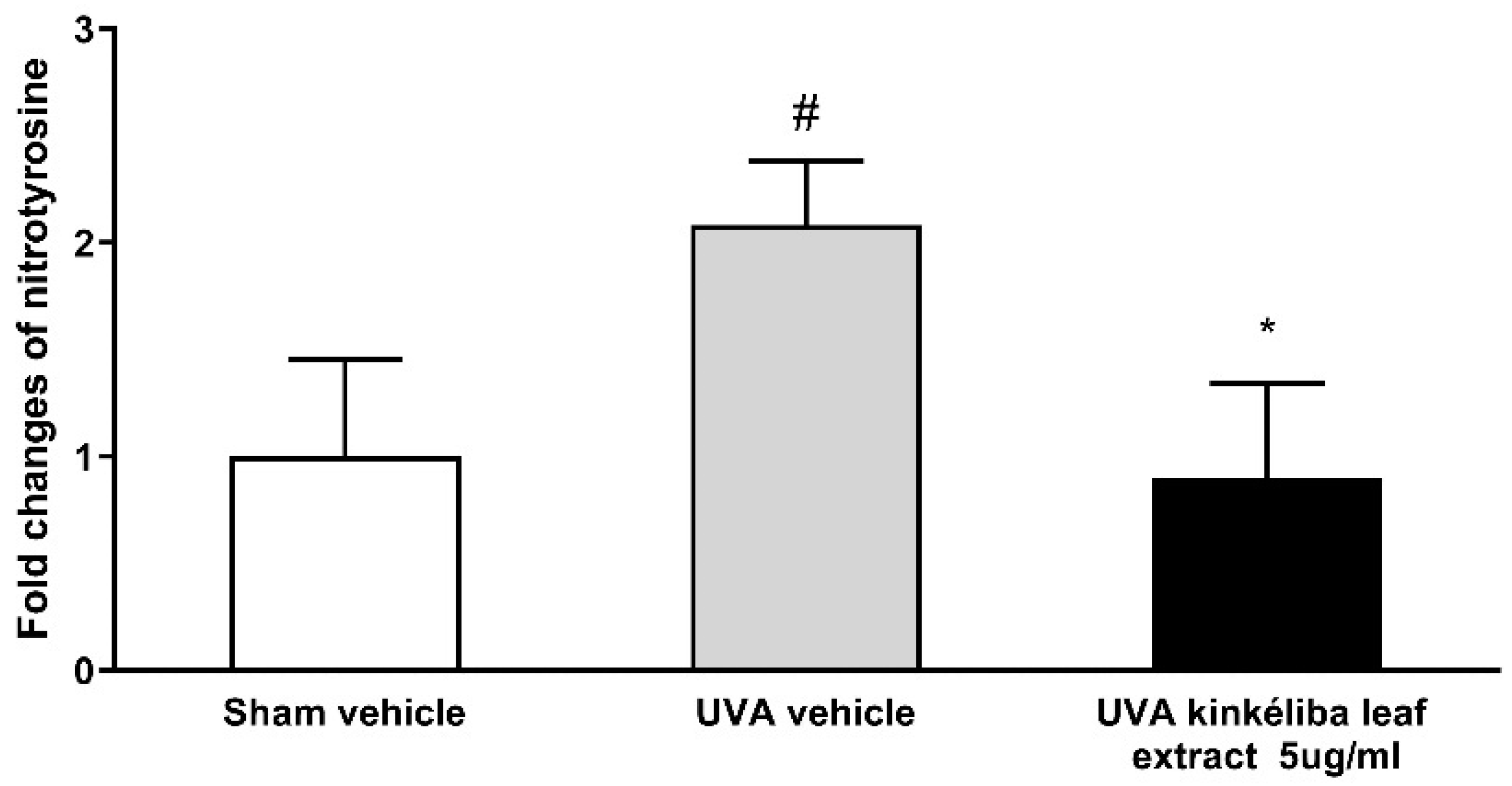 Molecules 28 01791 g004 Molecules 28 01791 g004