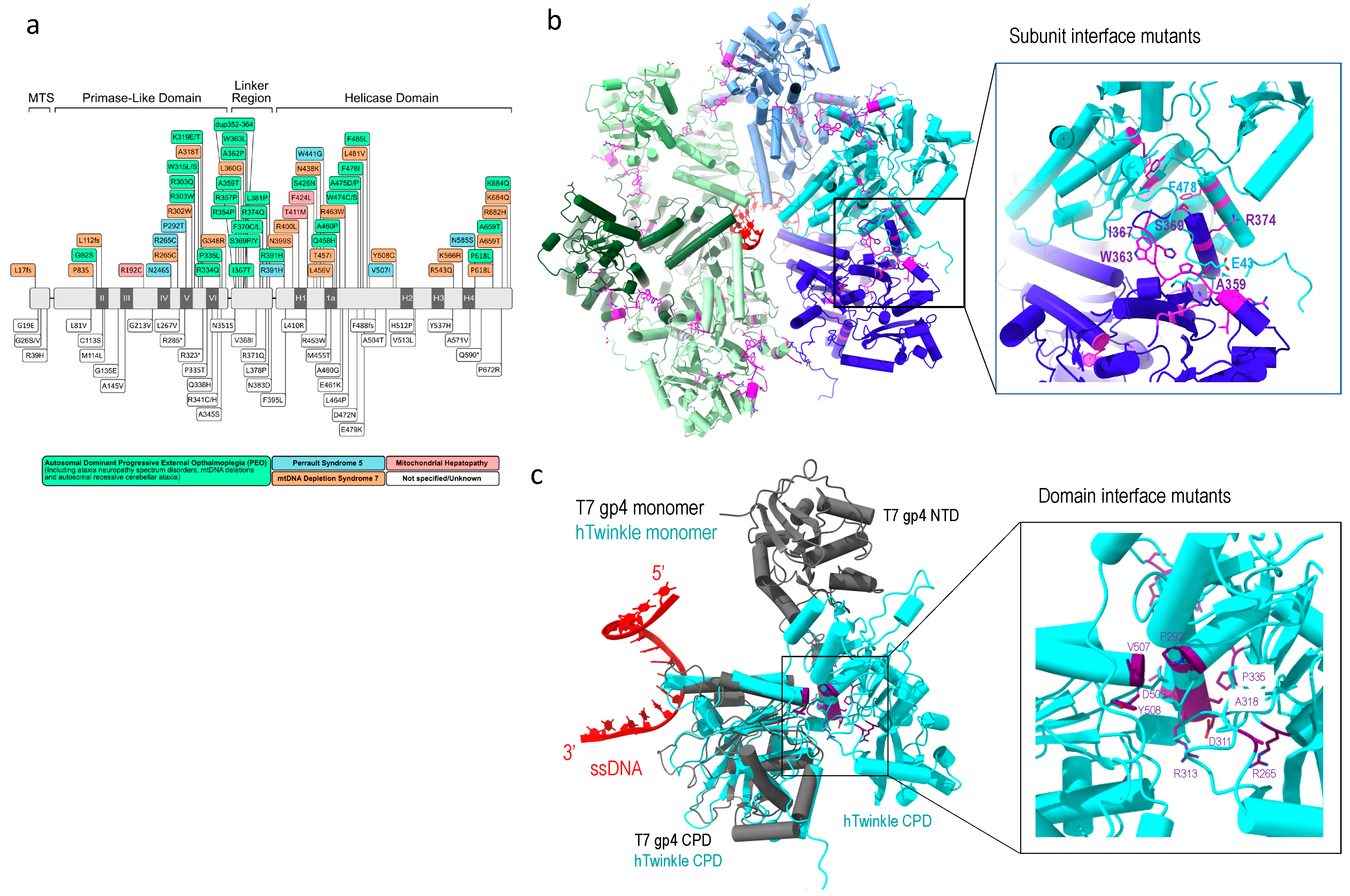 Molecules 28 01796 g005