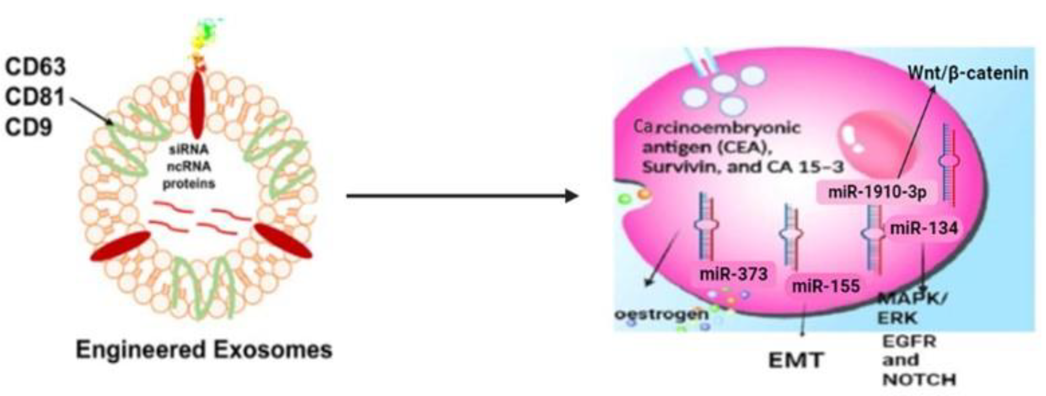 Molecules 28 01802 g001 Molecules 28 01802 g001