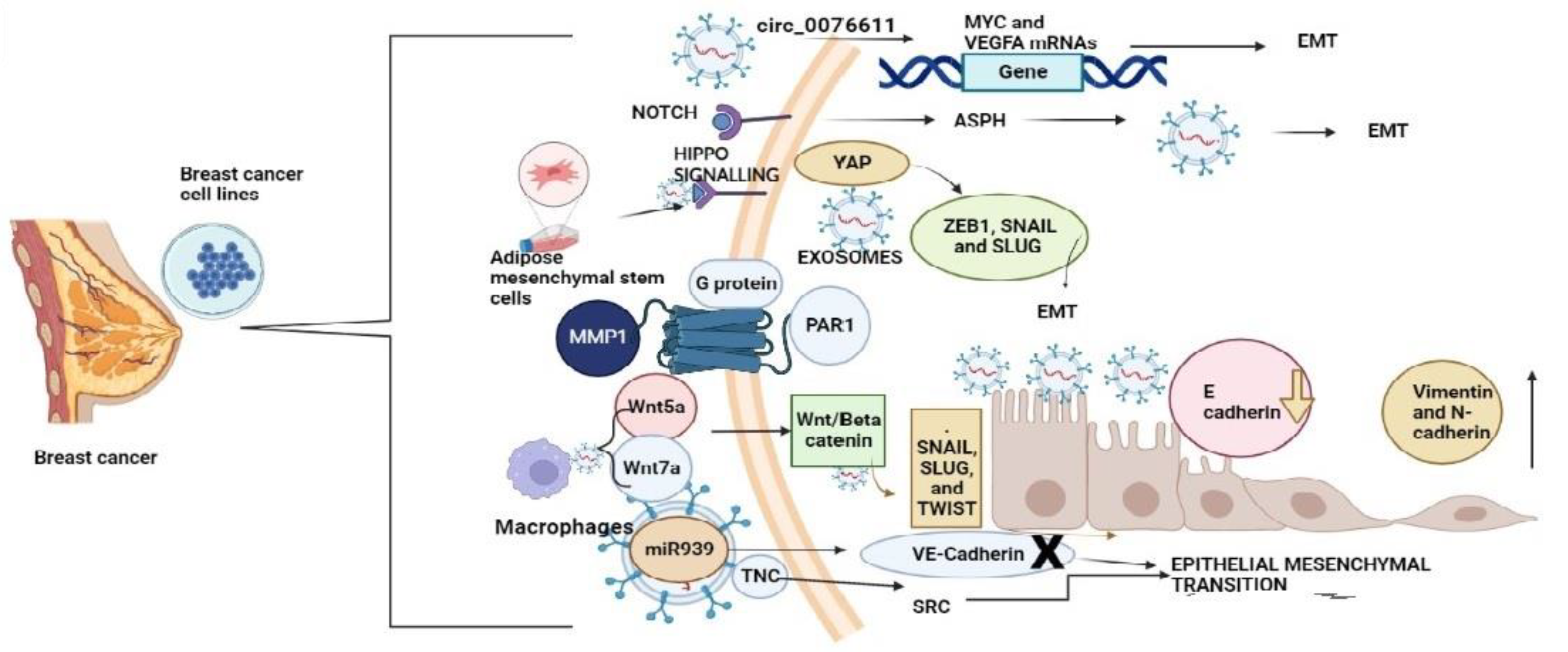 Molecules 28 01802 g002 Molecules 28 01802 g002