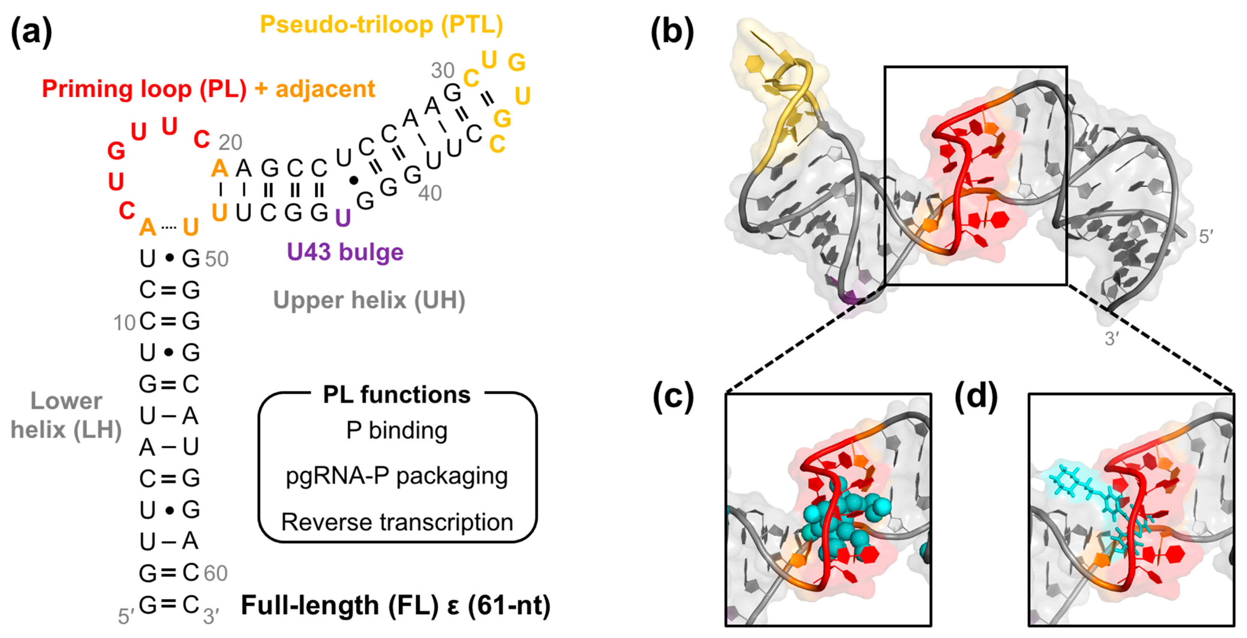 Molecules 28 01803 g001