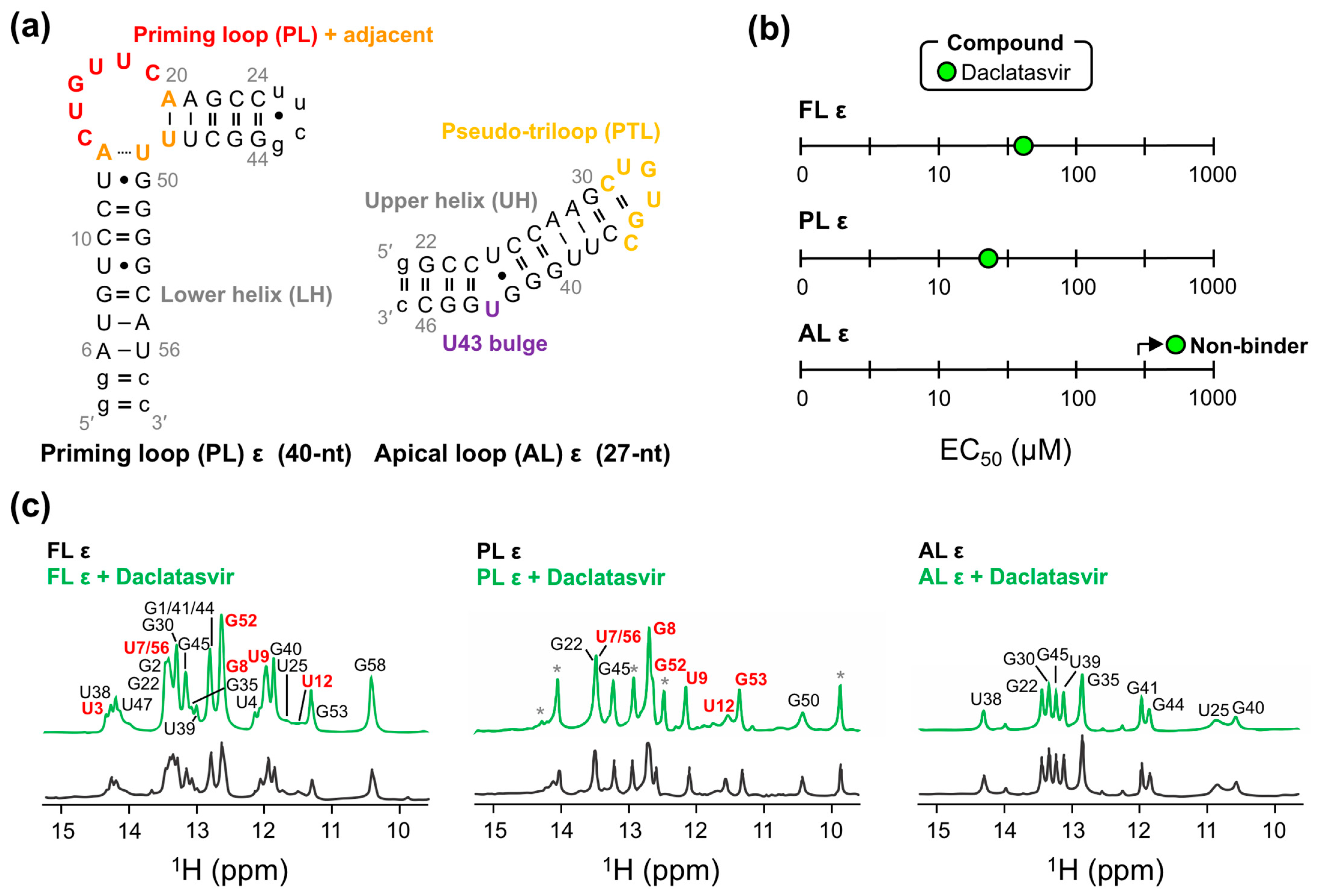 Molecules 28 01803 g005