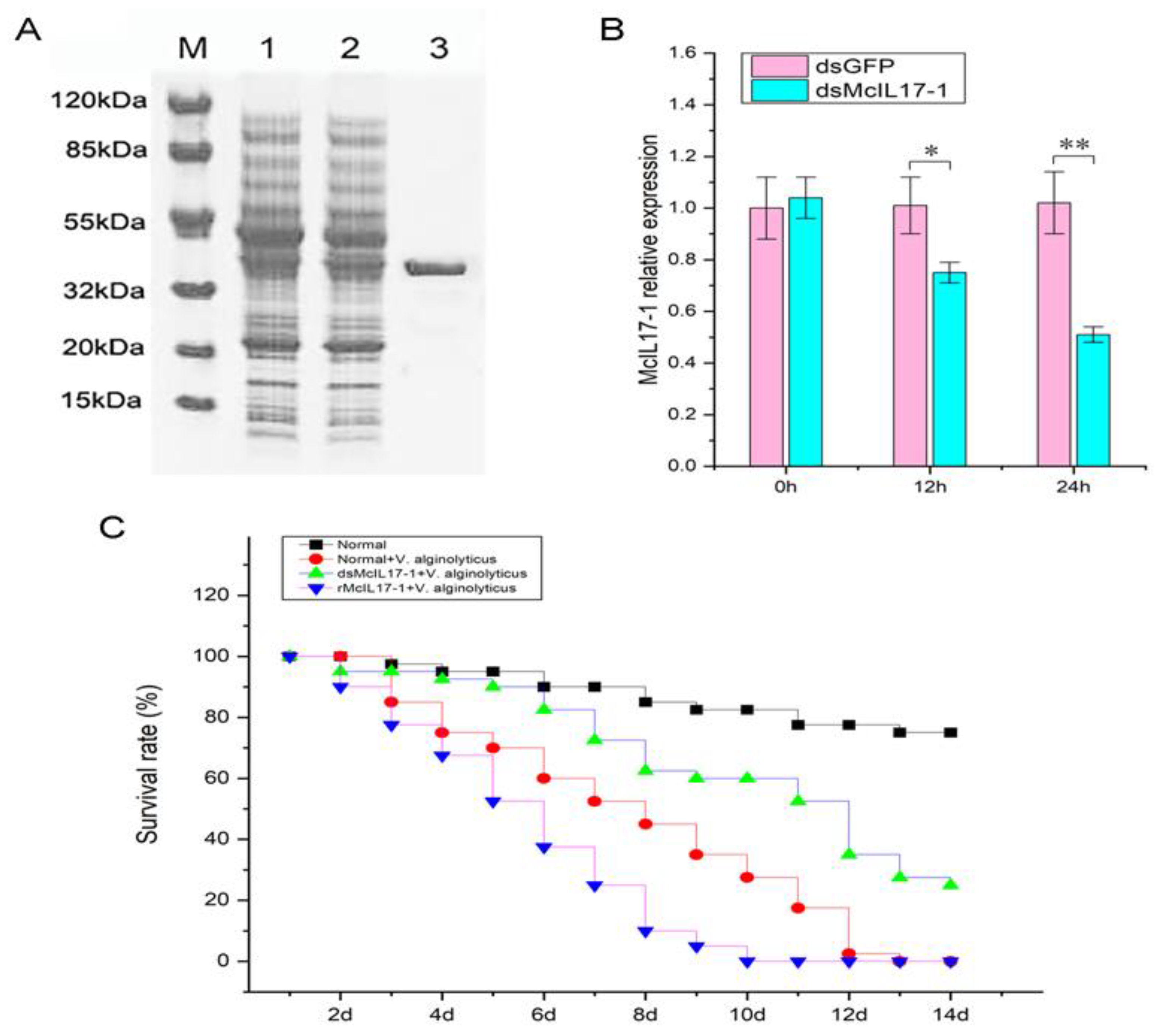 Molecules 28 01806 g005 Molecules 28 01806 g005