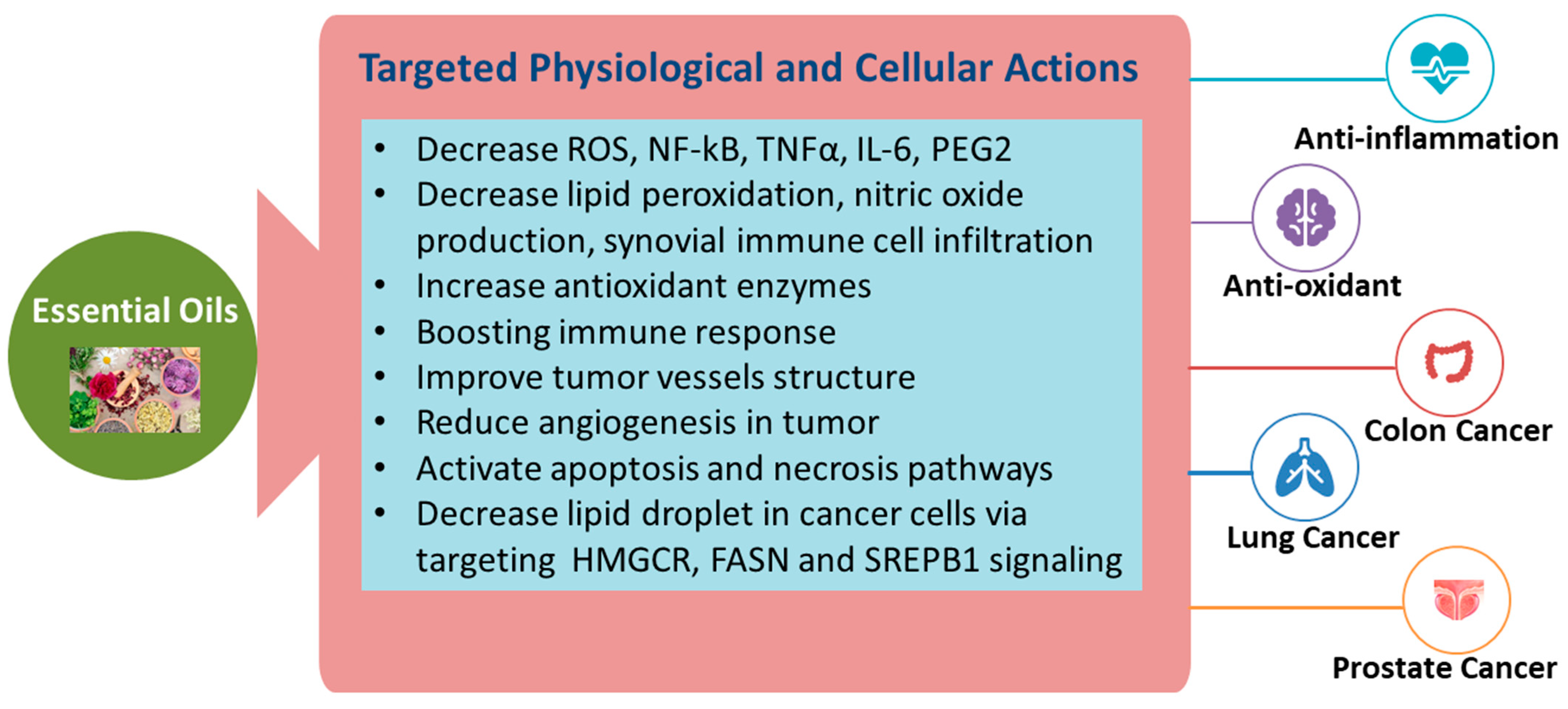 Molecules 28 01809 g002