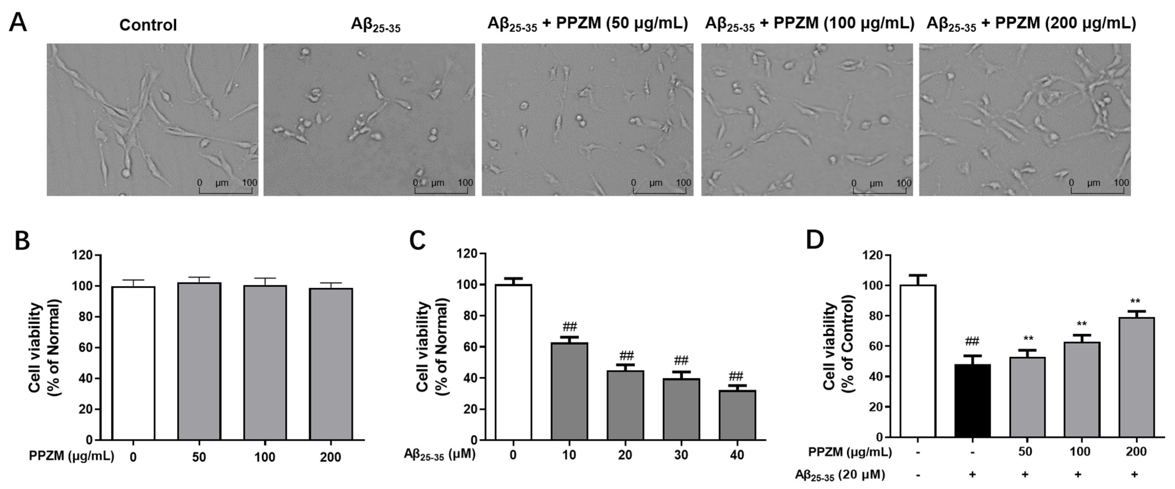 Molecules 28 01813 g002