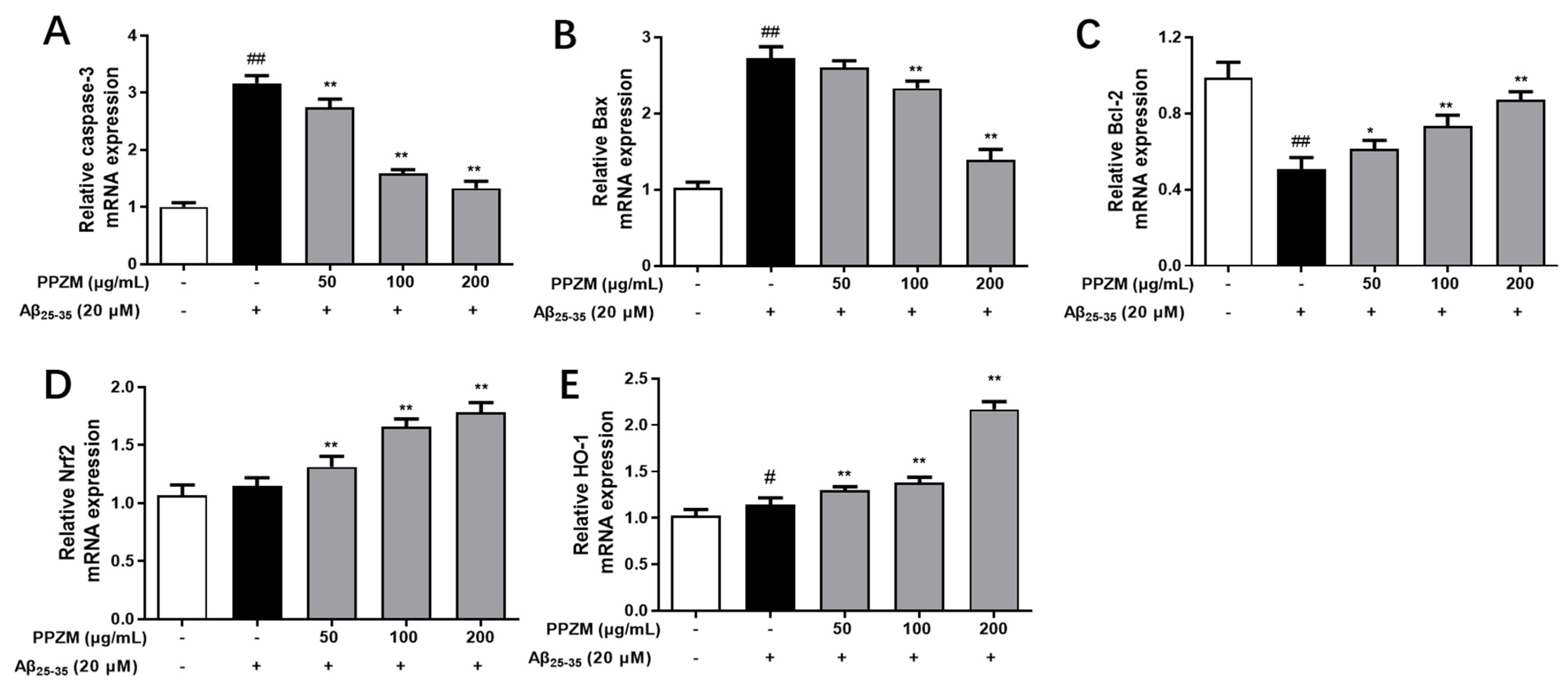Molecules 28 01813 g006