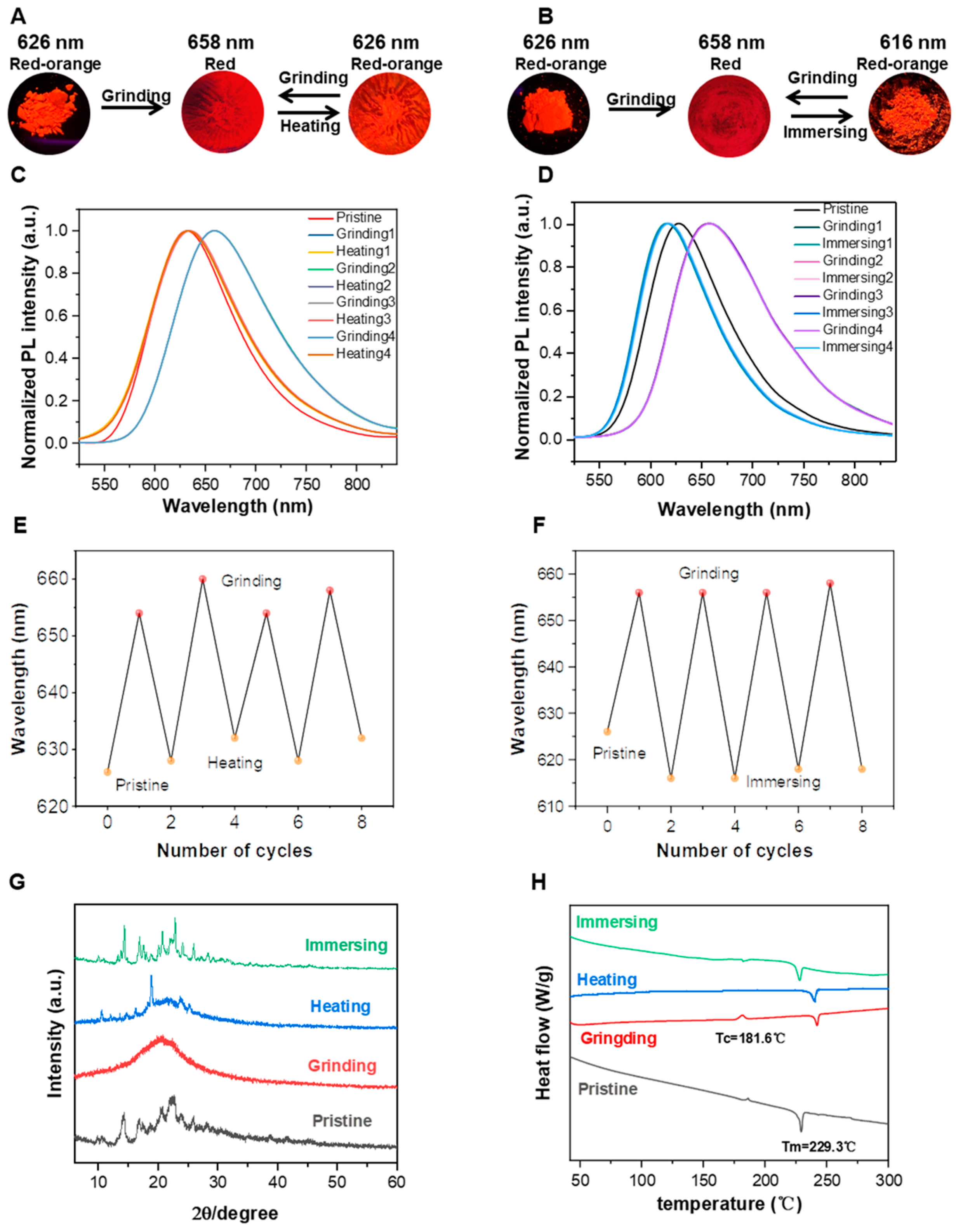 Molecules 28 01814 g005 Molecules 28 01814 g005
