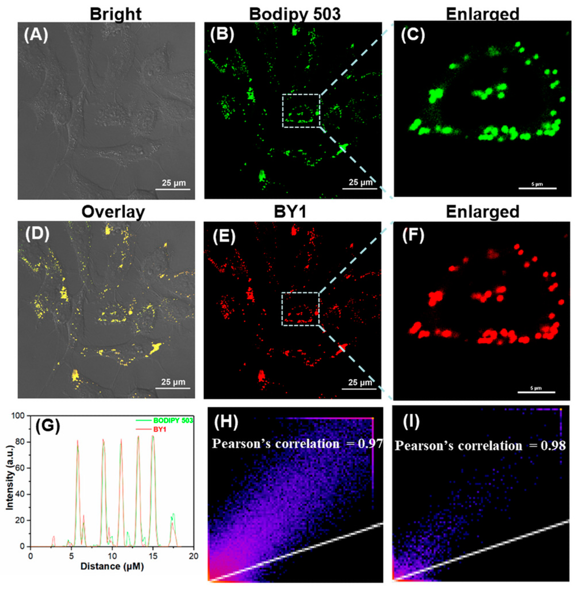 Molecules 28 01814 g006 Molecules 28 01814 g006