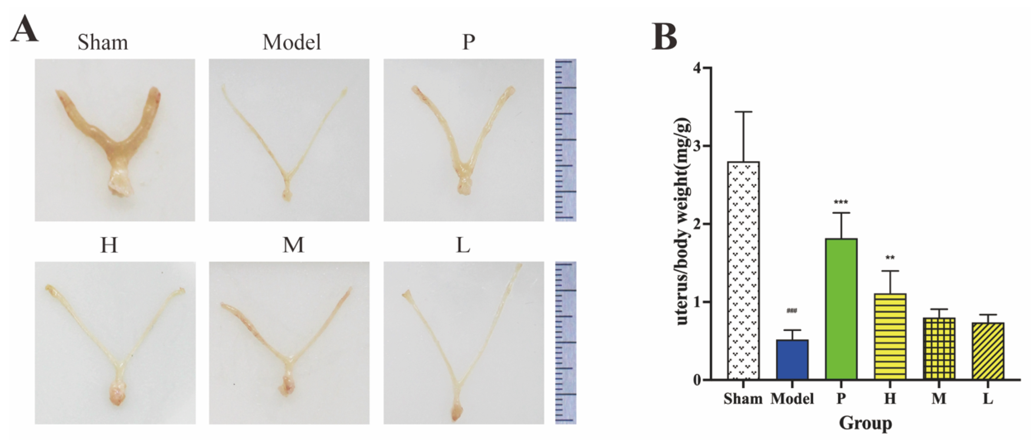 Molecules 28 01830 g007 Molecules 28 01830 g007