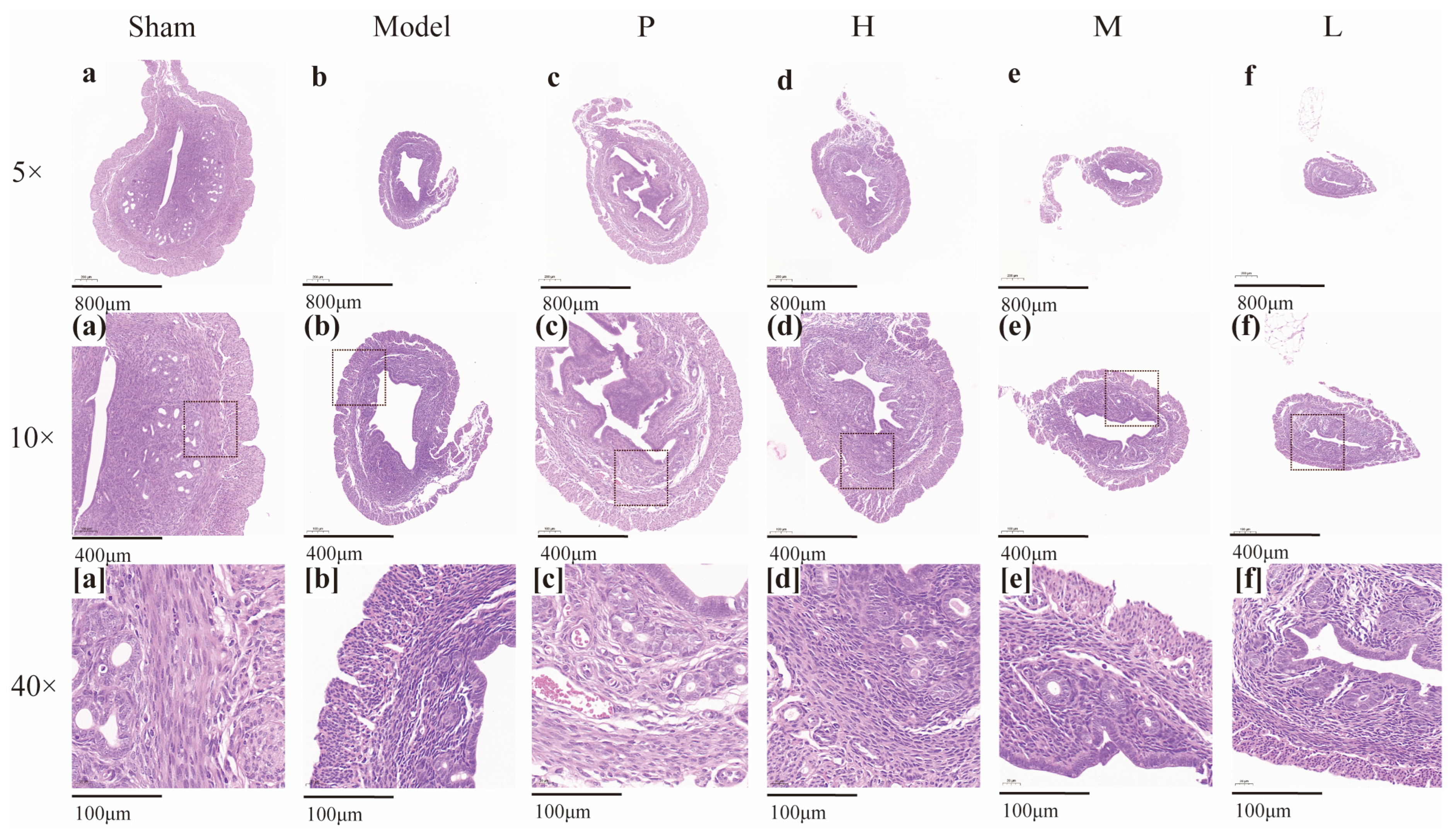 Molecules 28 01830 g008 Molecules 28 01830 g008
