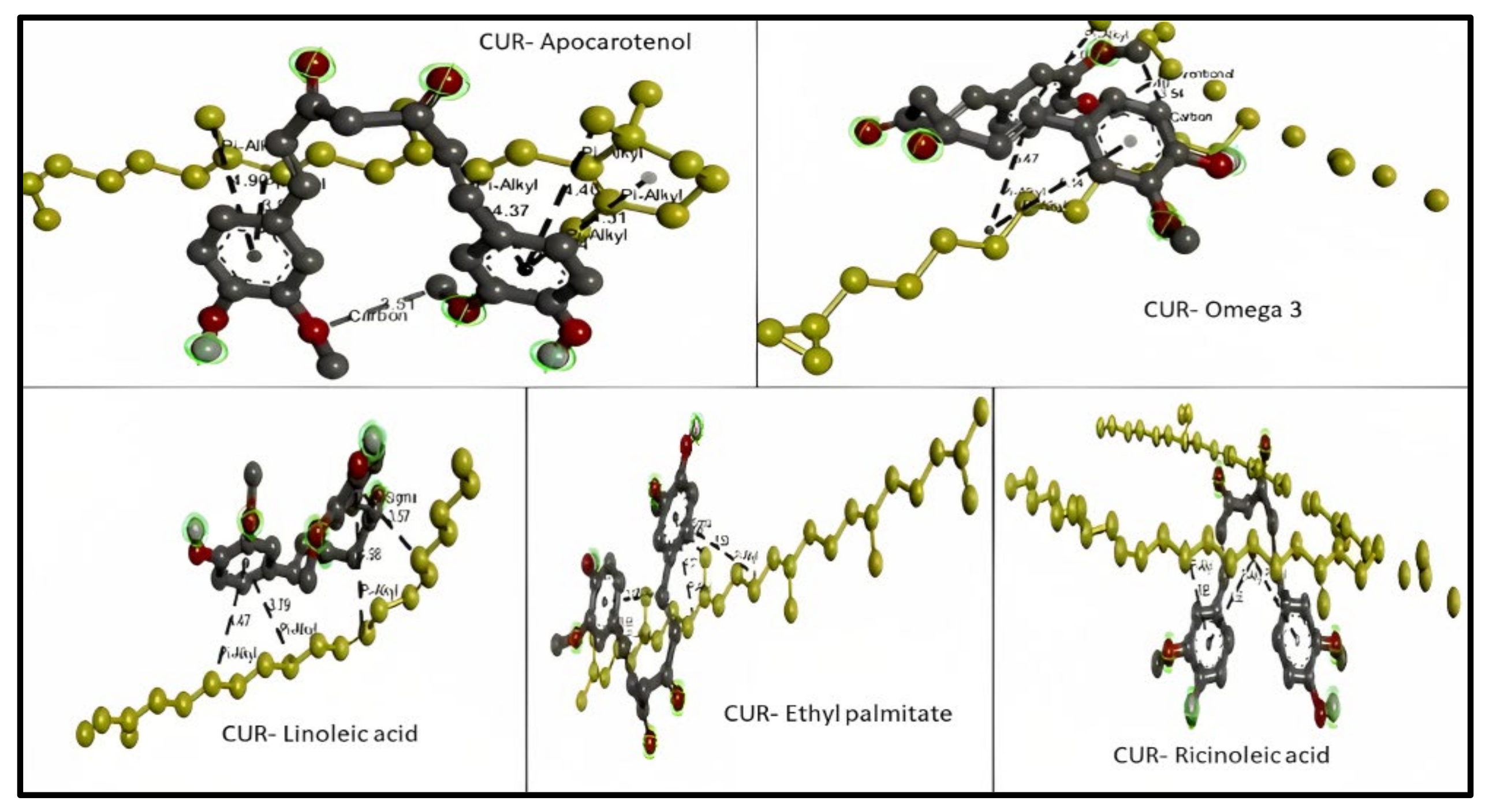 Development of Computational In Silico Model for Nano Lipid 