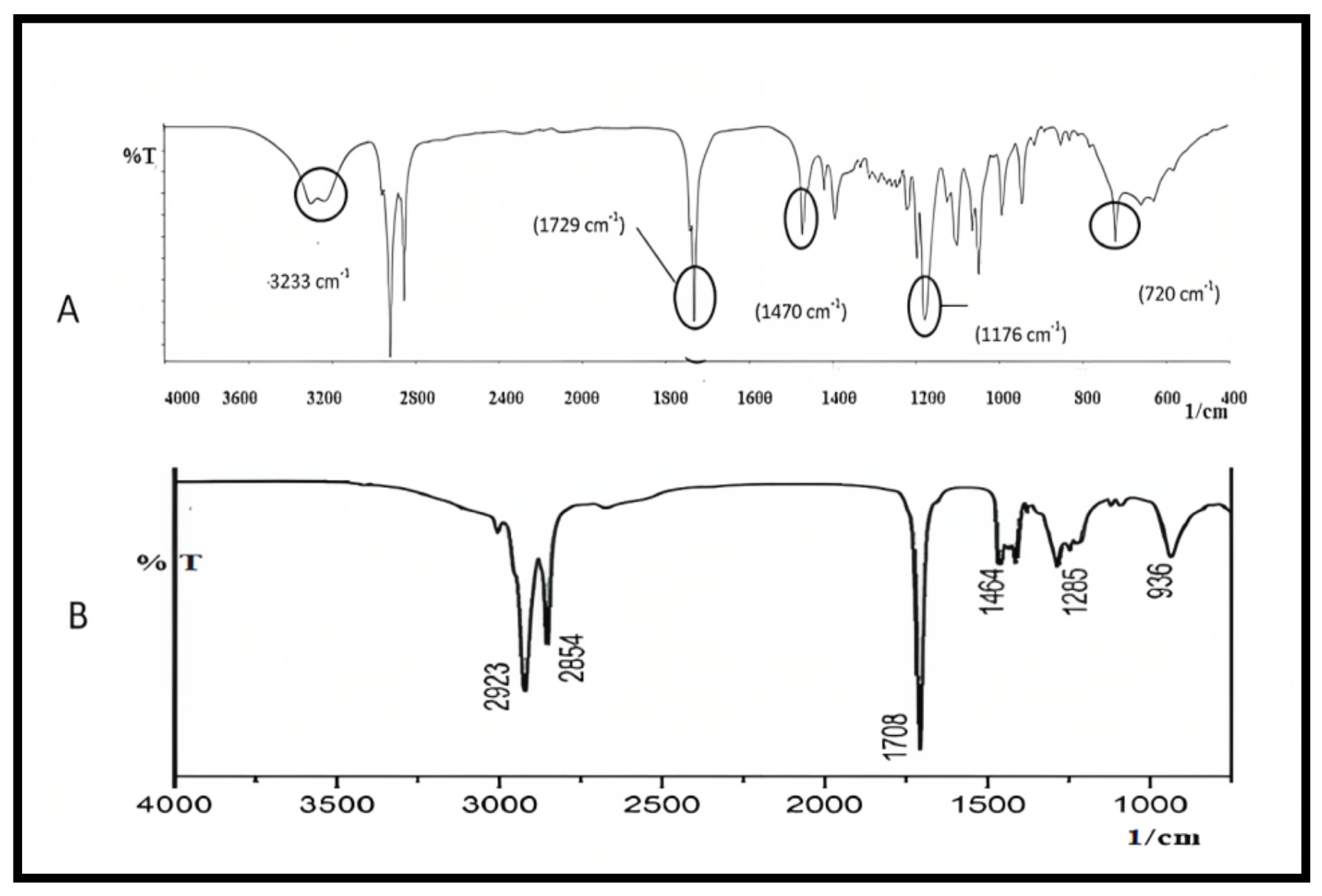 Molecules 28 01833 g005 Molecules 28 01833 g005