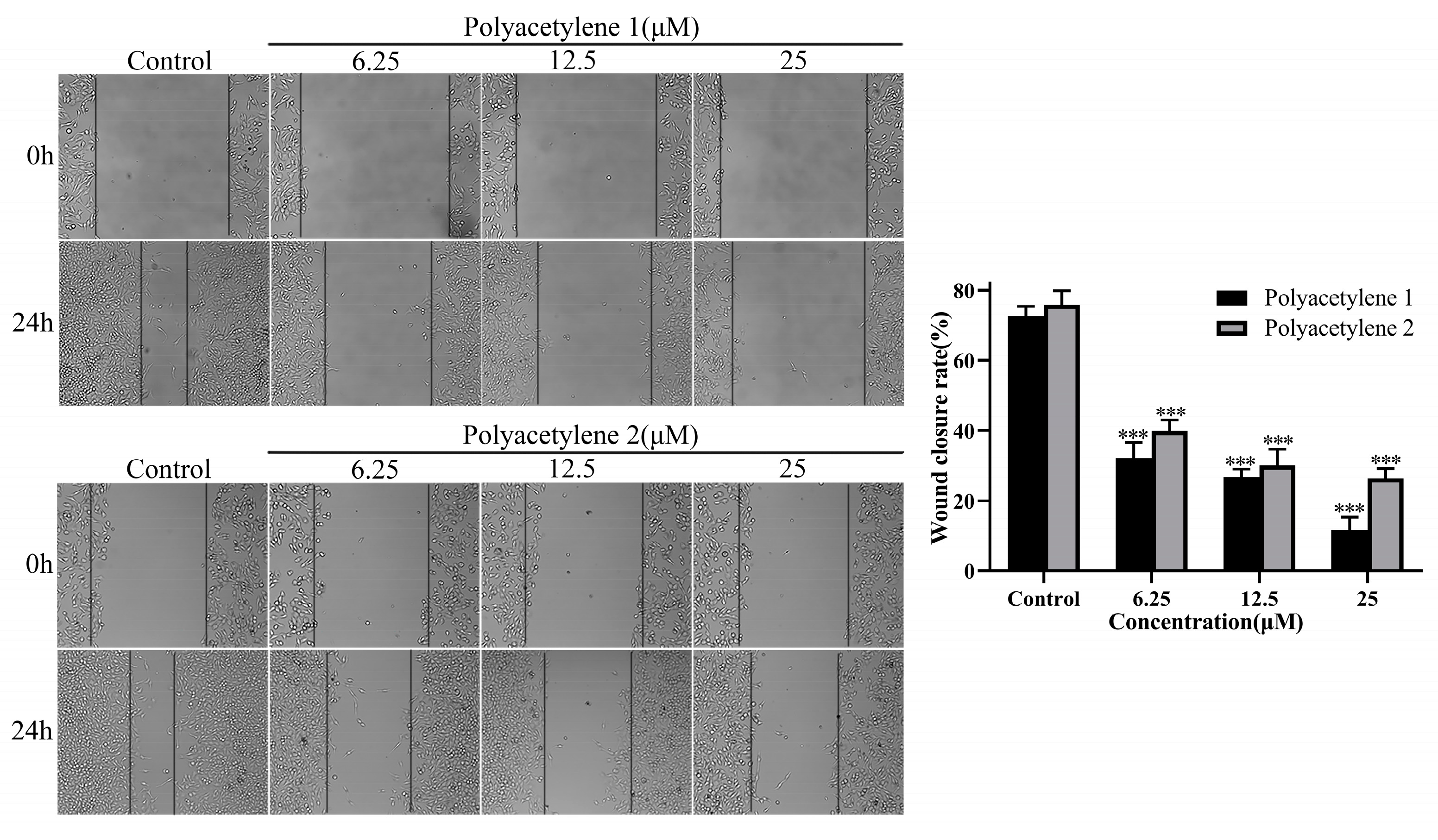 Molecules 28 01837 g003 Molecules 28 01837 g003