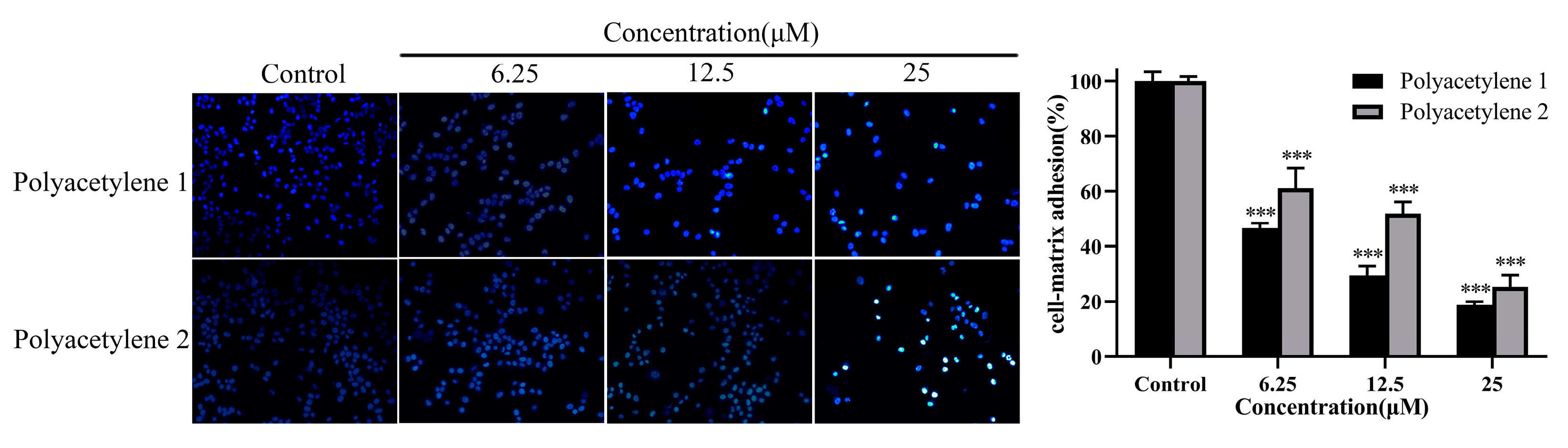 Molecules 28 01837 g005 Molecules 28 01837 g005