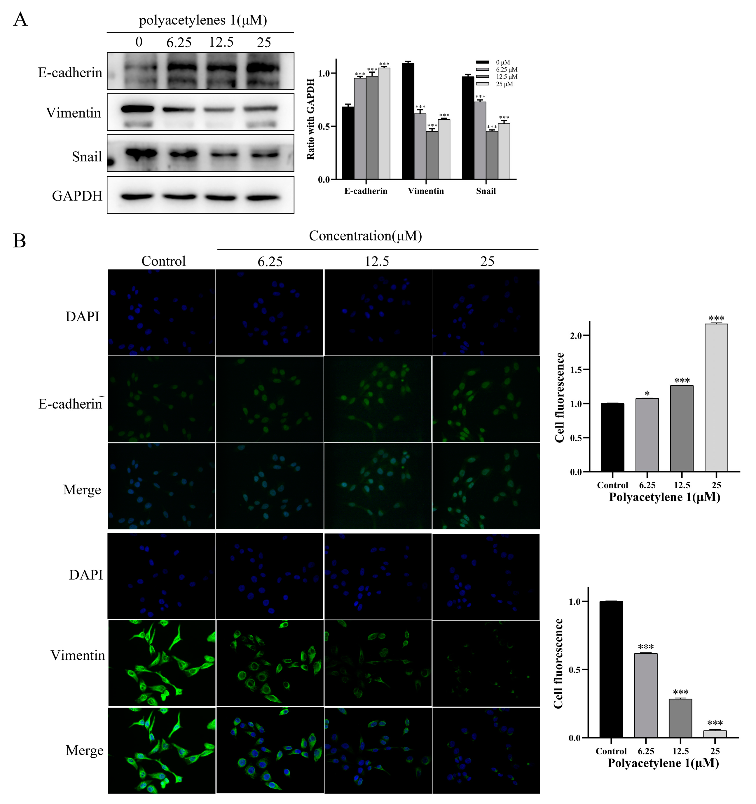 Molecules 28 01837 g006 Molecules 28 01837 g006