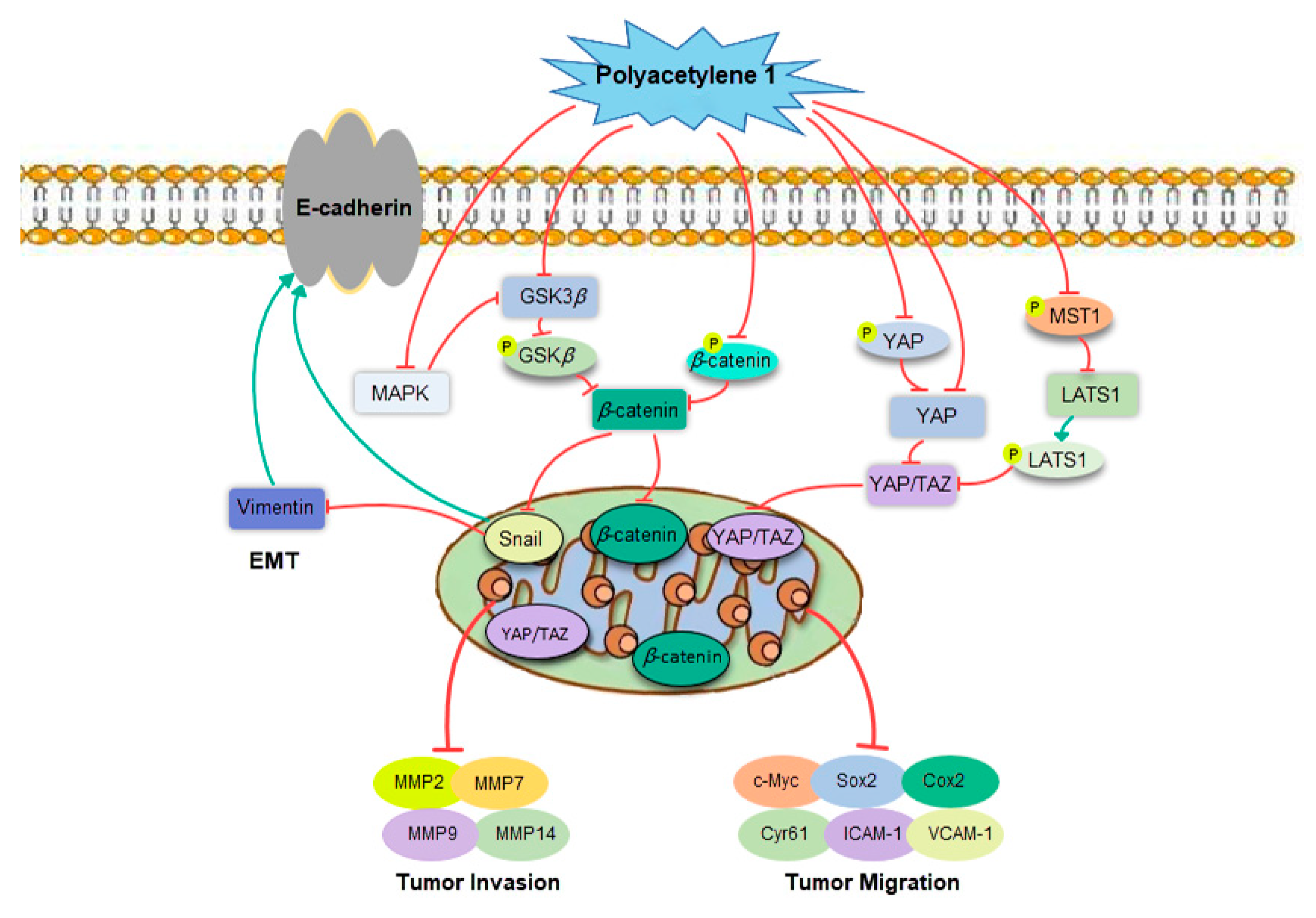 Molecules 28 01837 g009 Molecules 28 01837 g009
