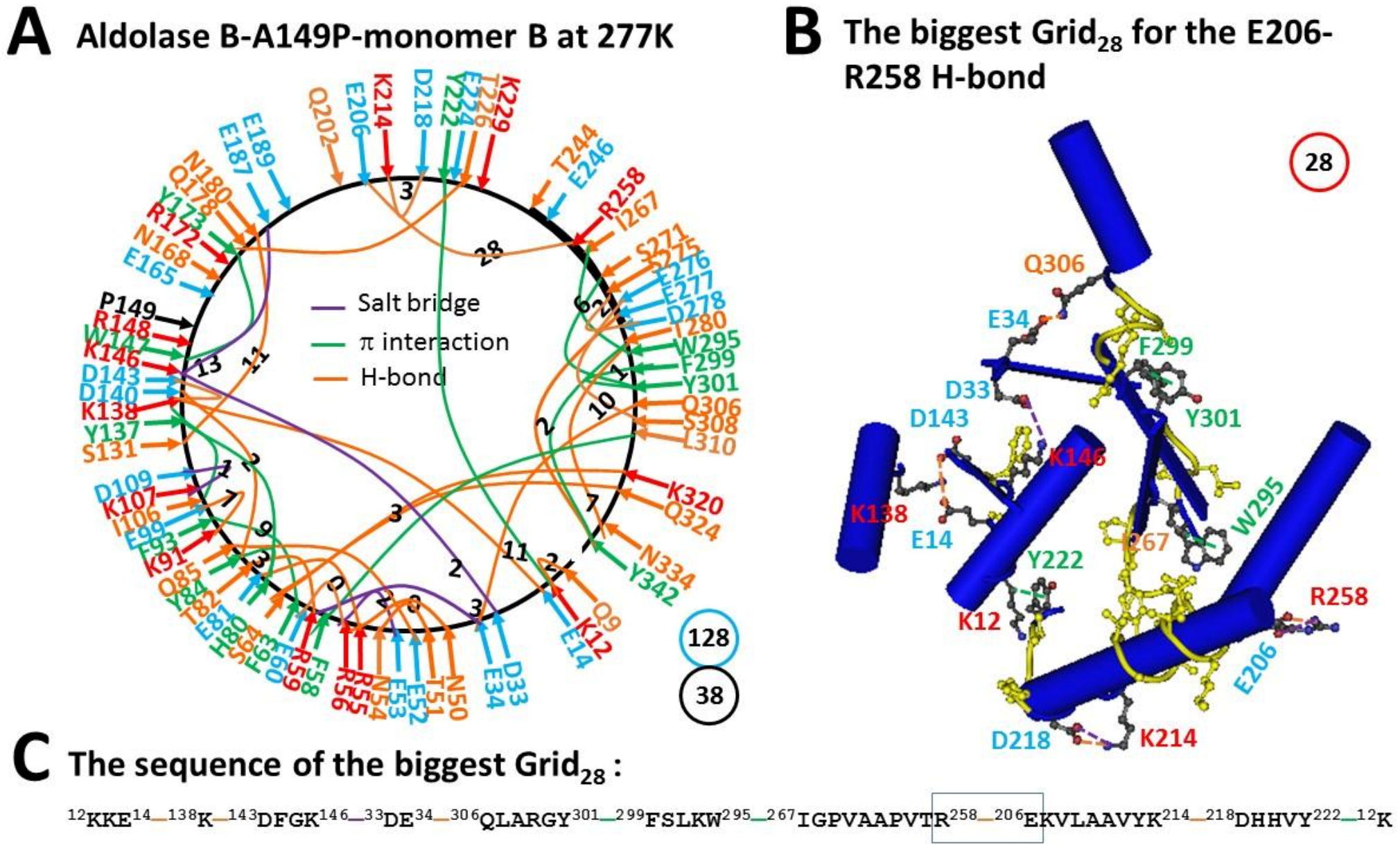 Molecules 28 01850 g001