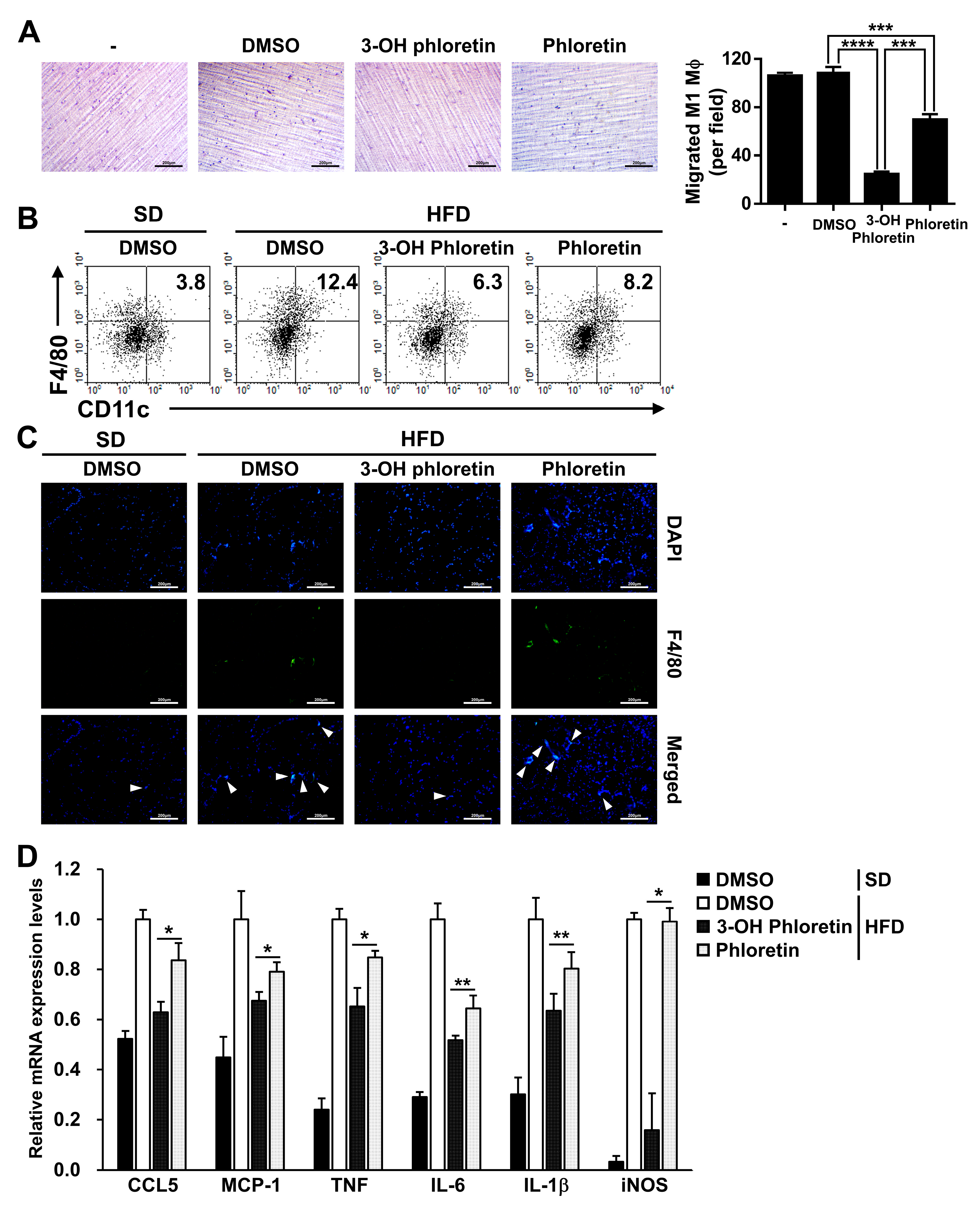 Molecules 28 01851 g003 Molecules 28 01851 g003