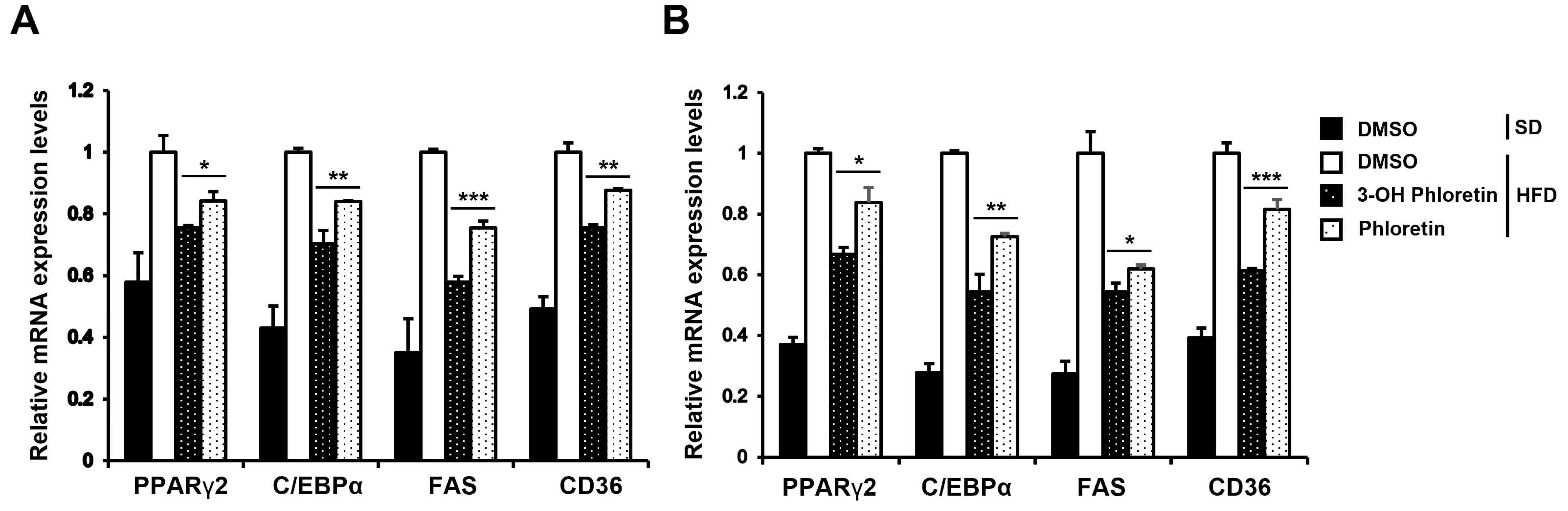 Molecules 28 01851 g005 Molecules 28 01851 g005