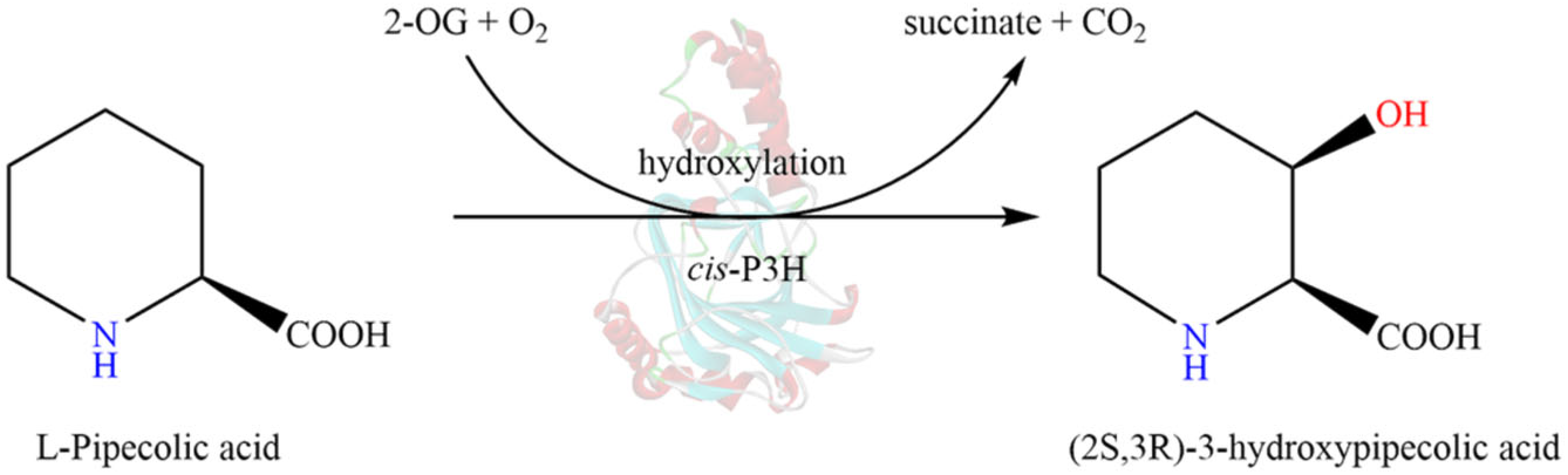 Molecules 28 01854 g001 Molecules 28 01854 g001